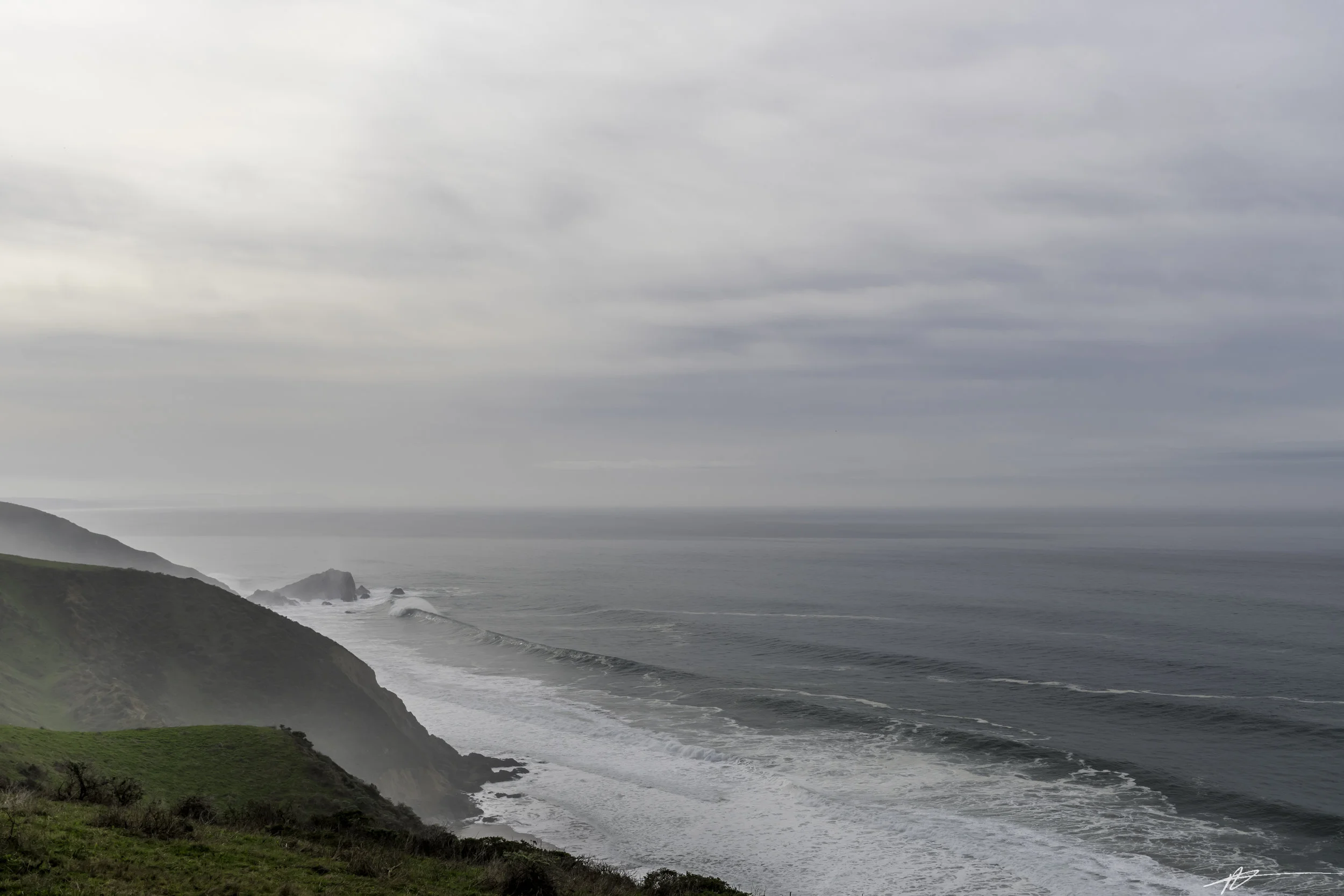 Tomales Point-38.jpg