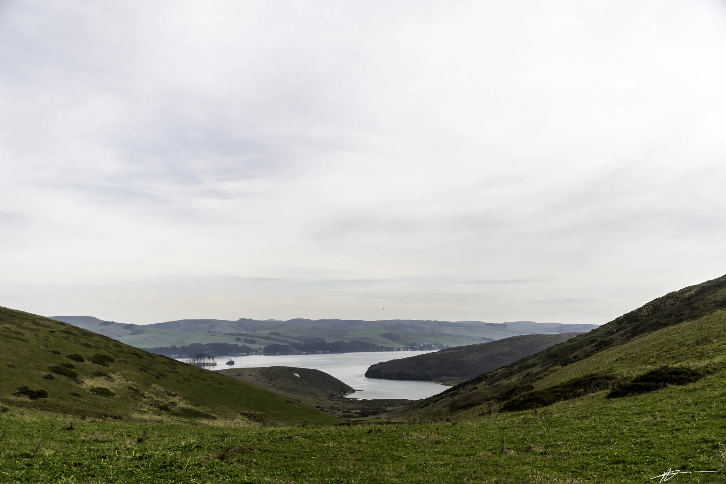 Tomales Point-68.jpg