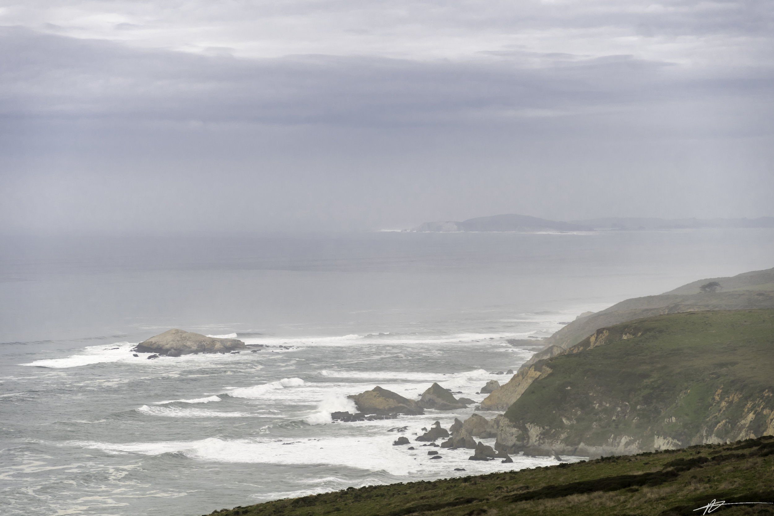 Tomales Point-124.jpg
