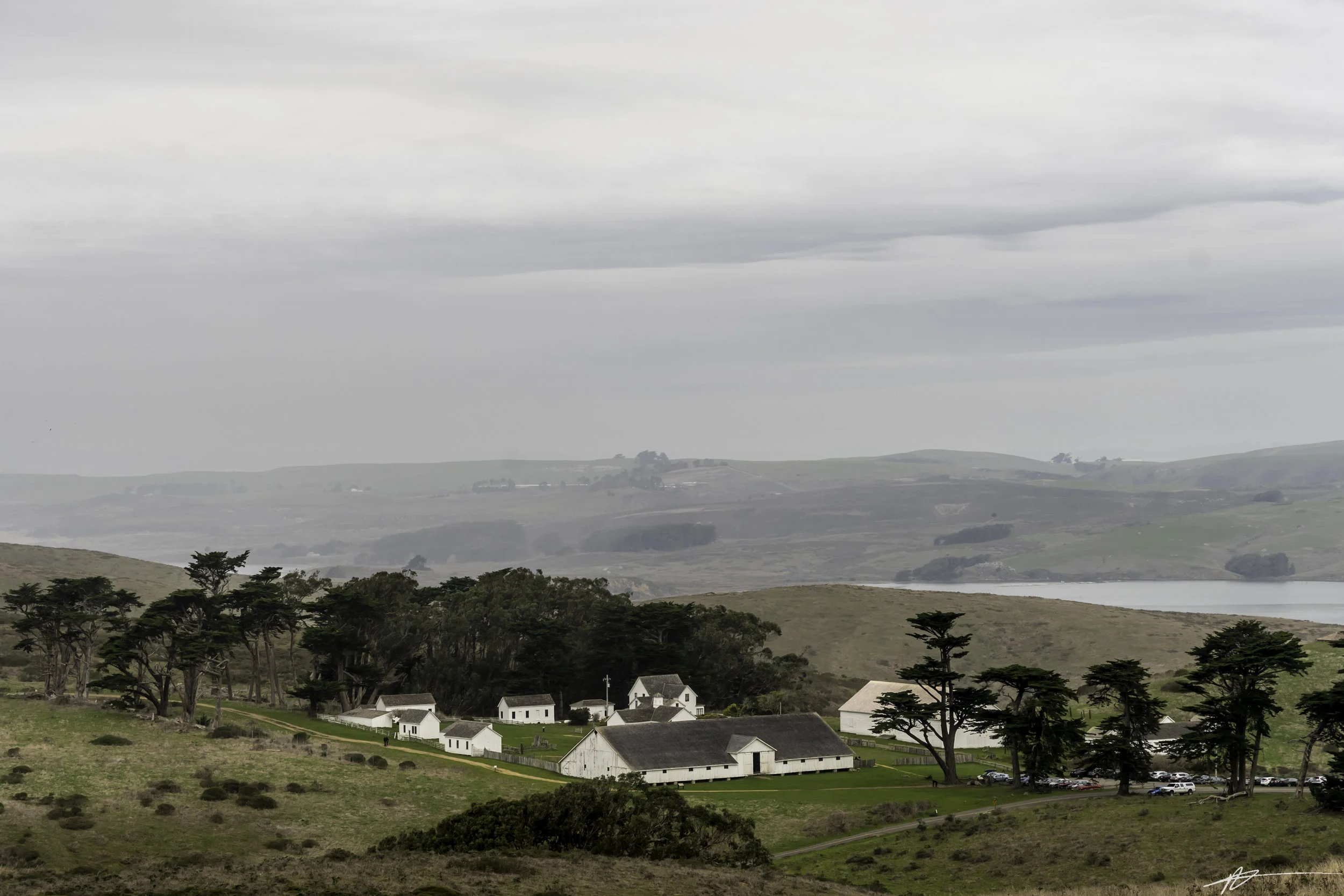 Tomales Point-125.jpg