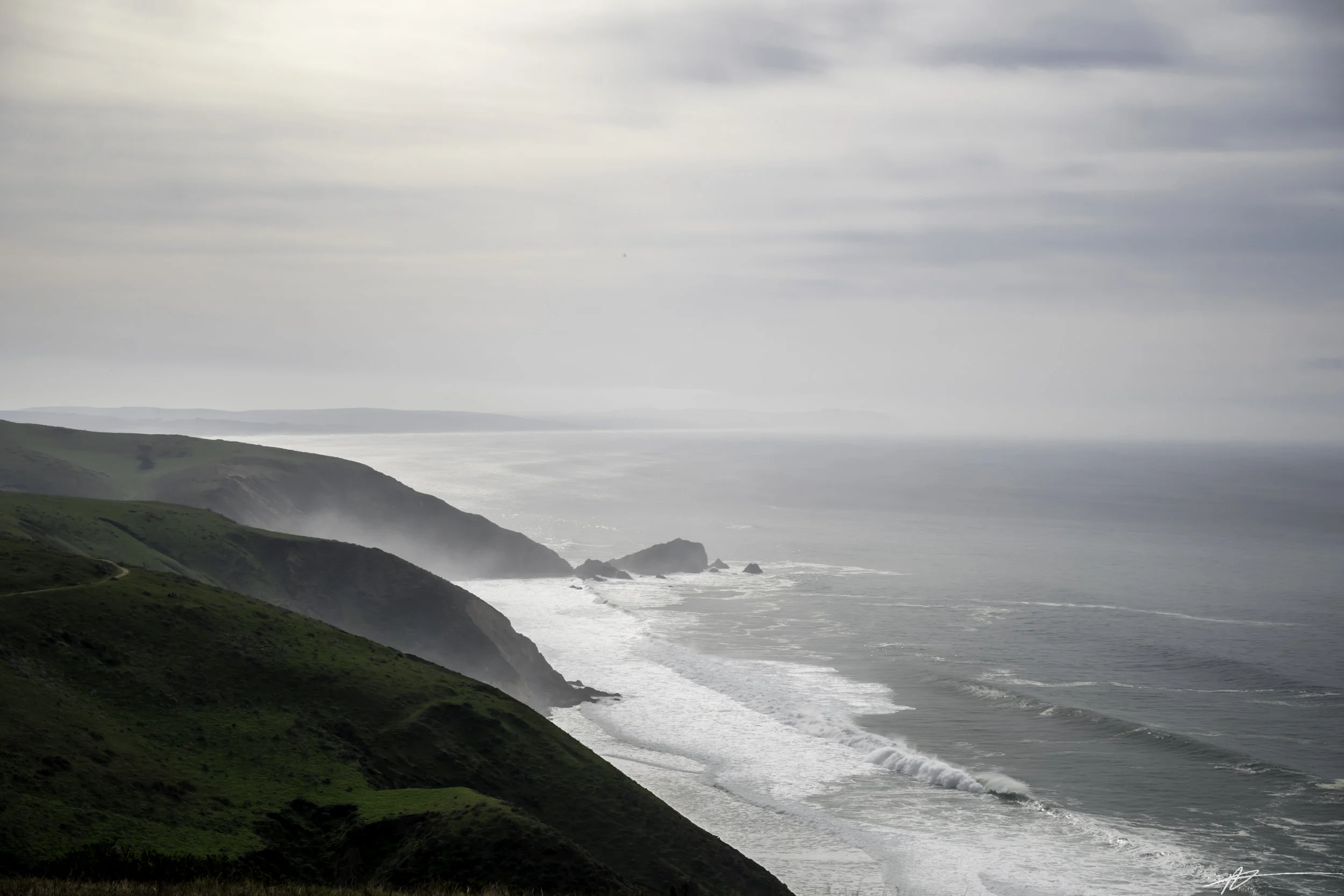 Tomales Point-111.jpg