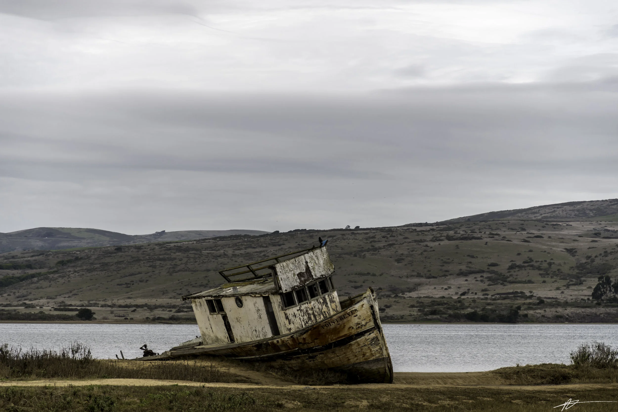 Tomales Point-138.jpg