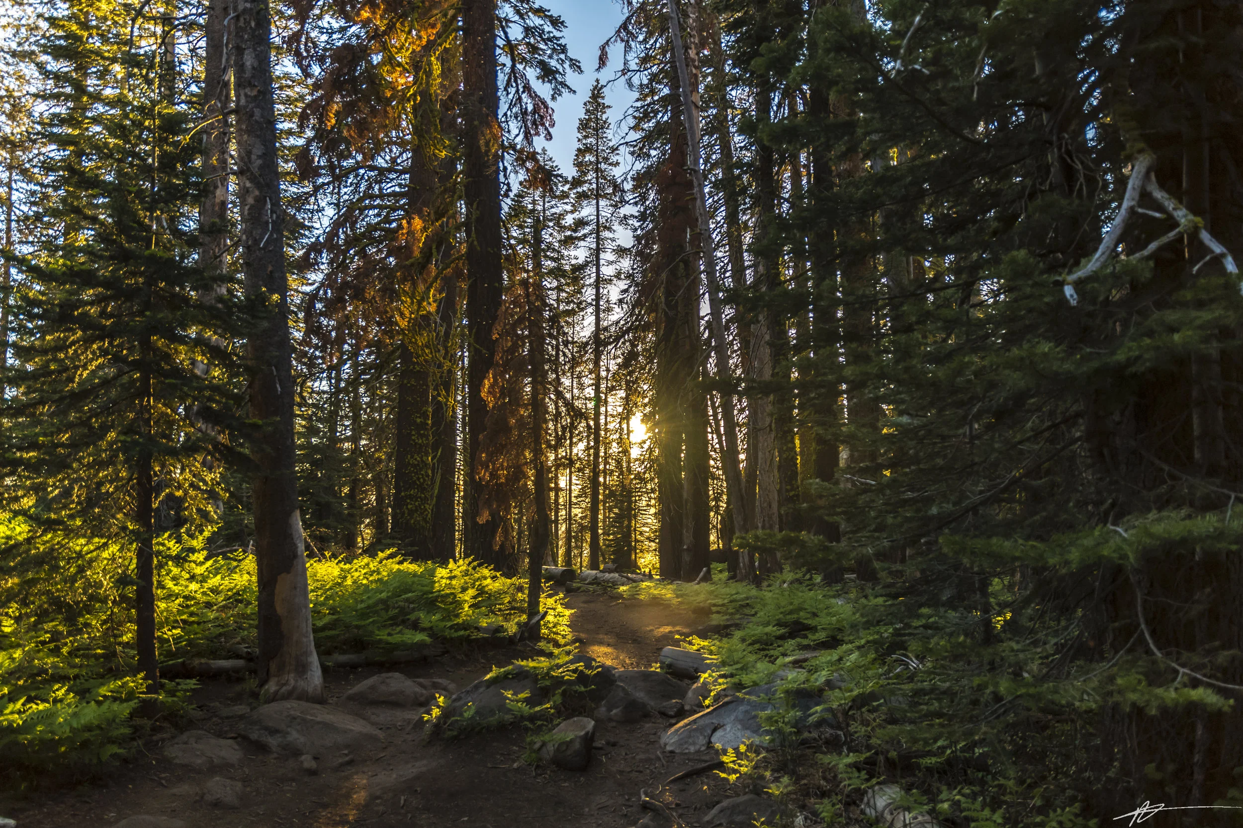 Yosemite-22.jpg