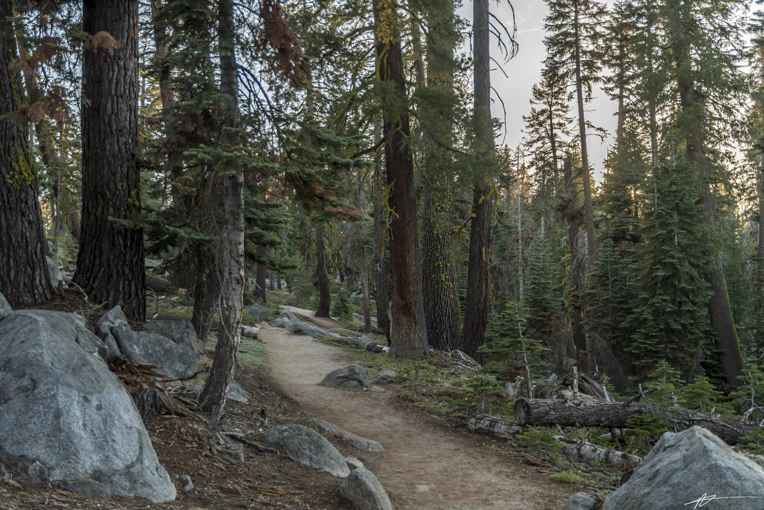 Yosemite-19.jpg