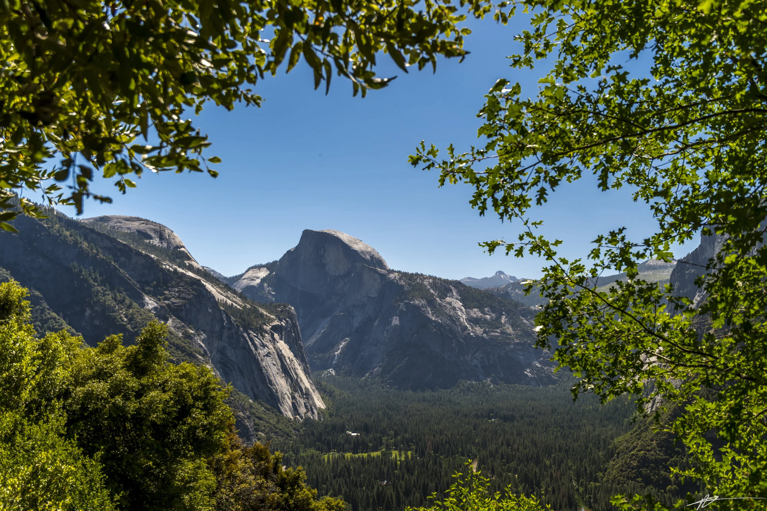 Yosemite-162.jpg