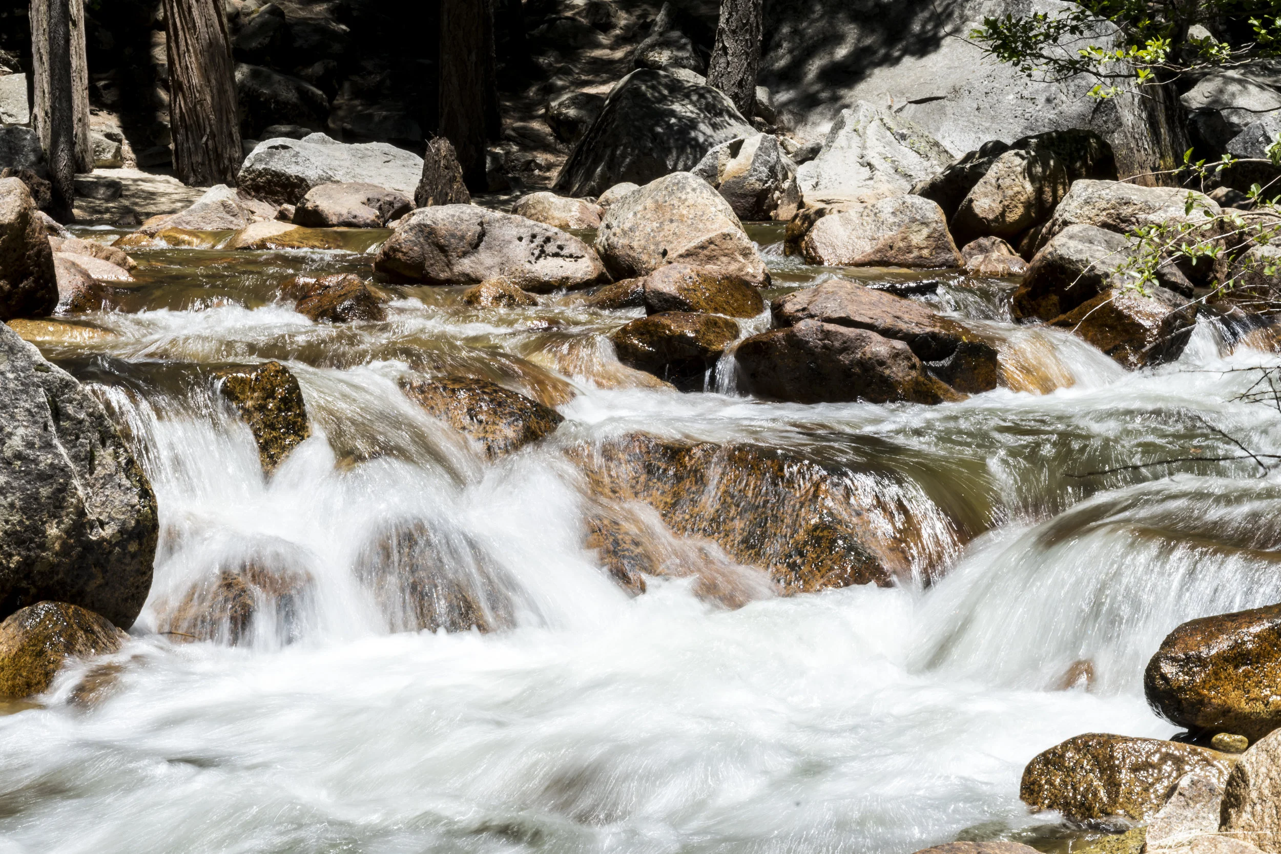 Yosemite-172.jpg