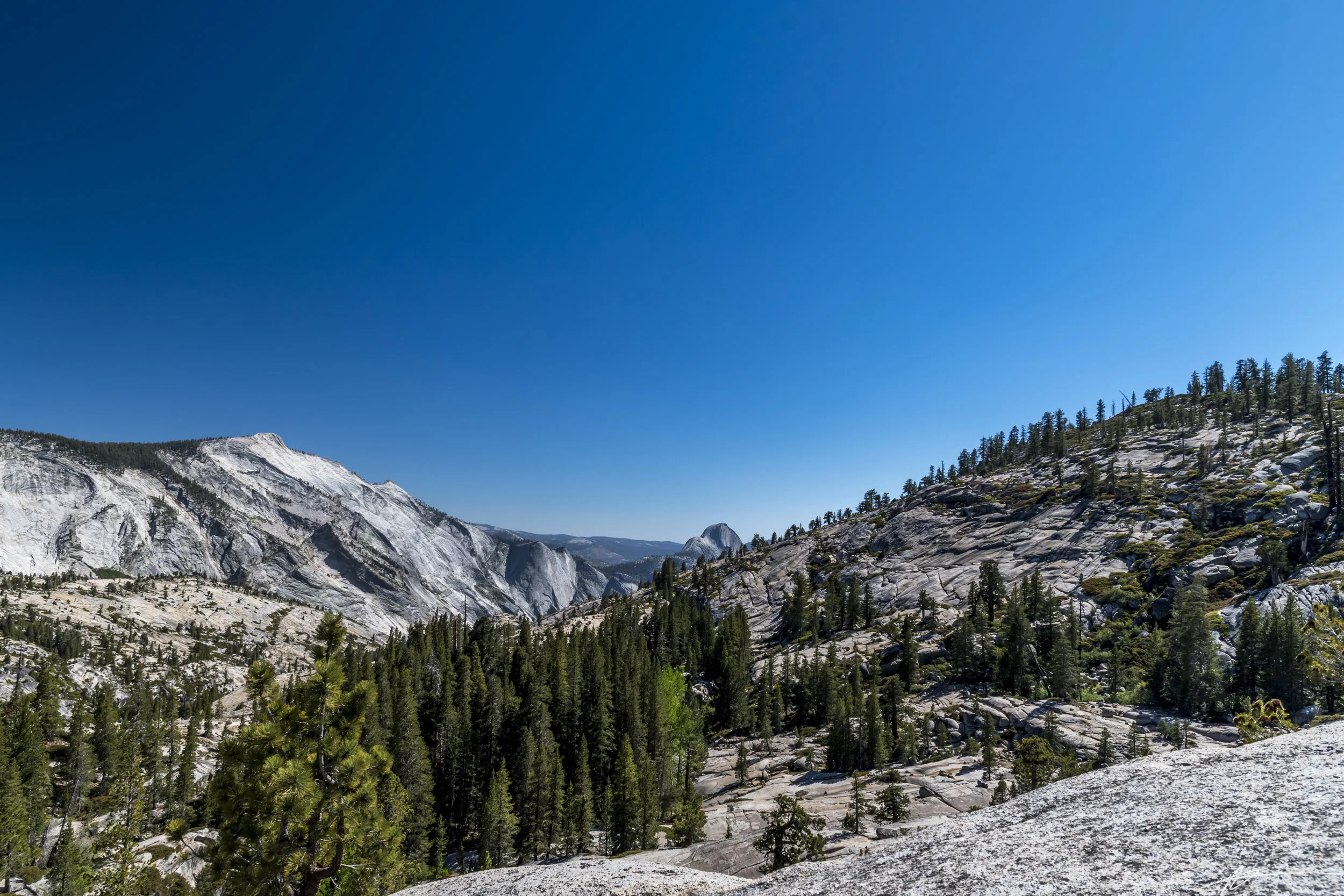 Yosemite-186.jpg