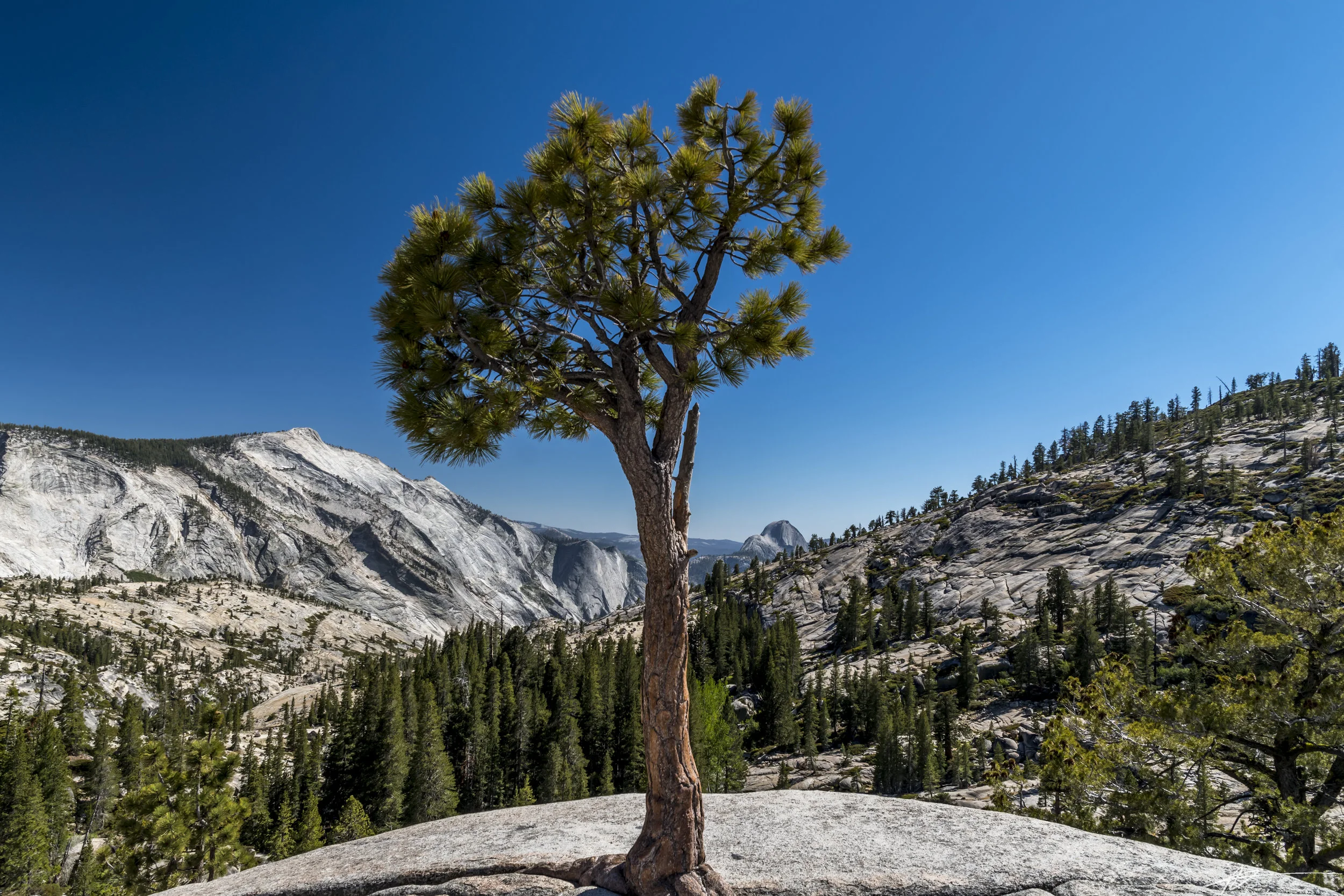 Yosemite-195.jpg