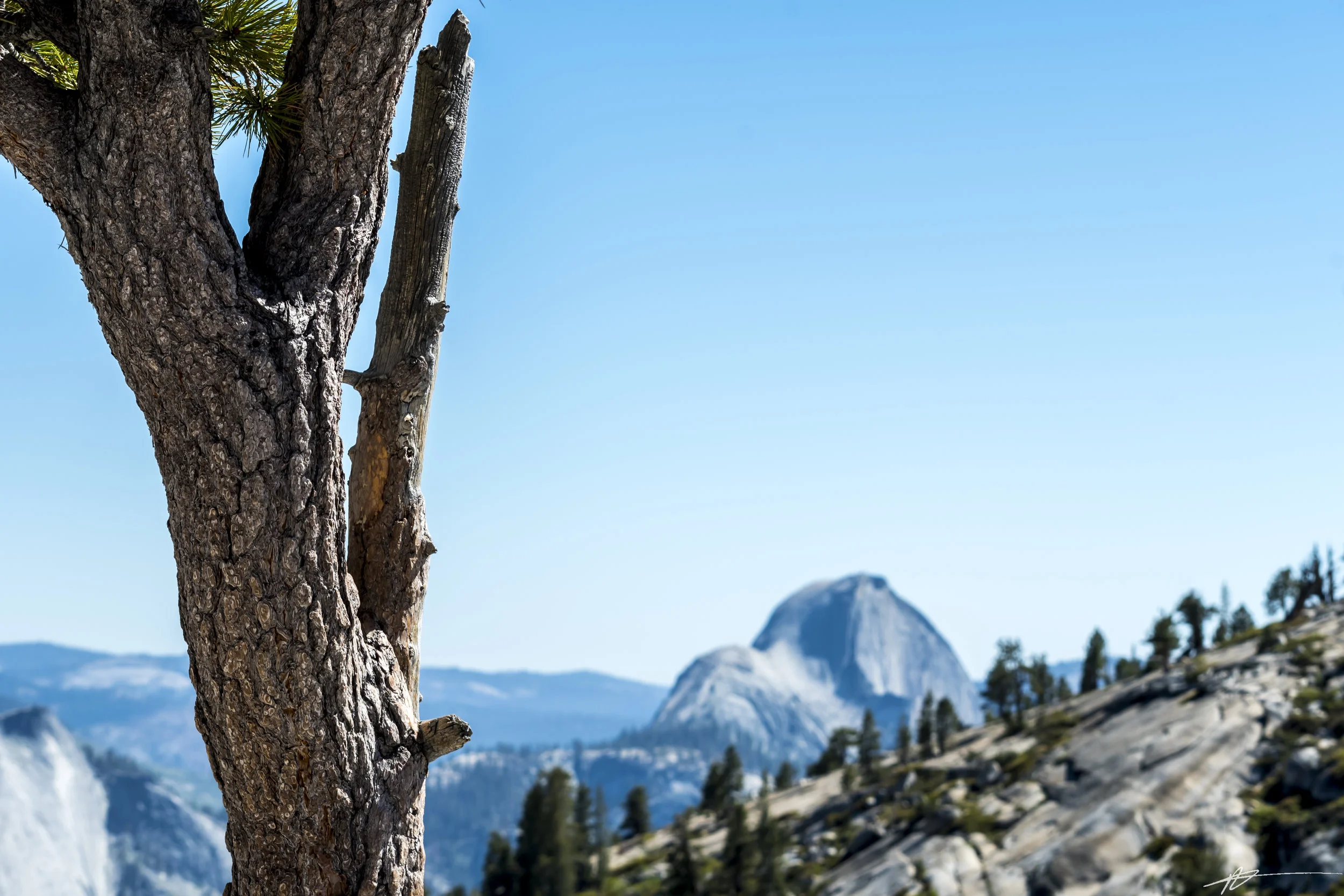 Yosemite-201.jpg