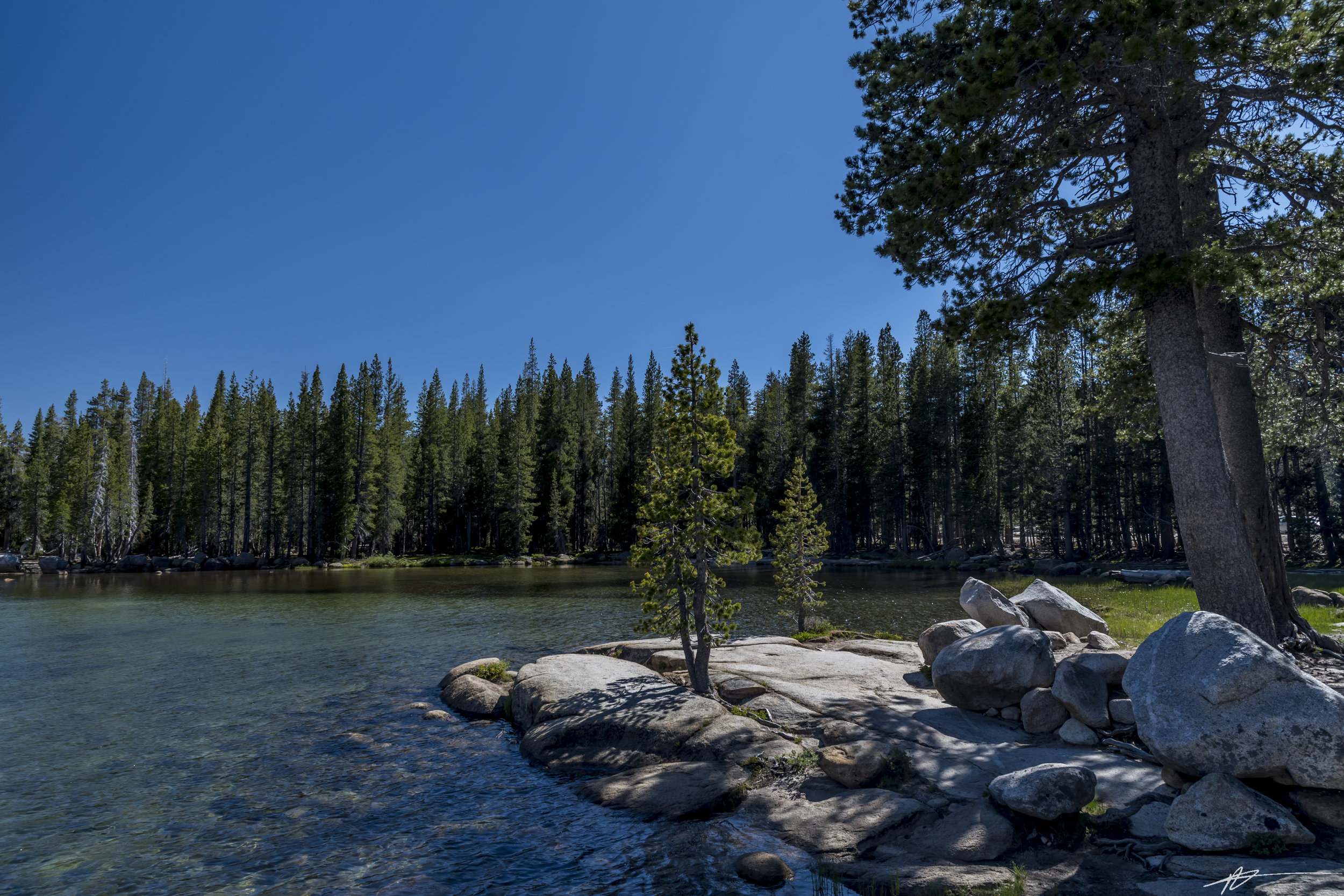 Yosemite-206.jpg