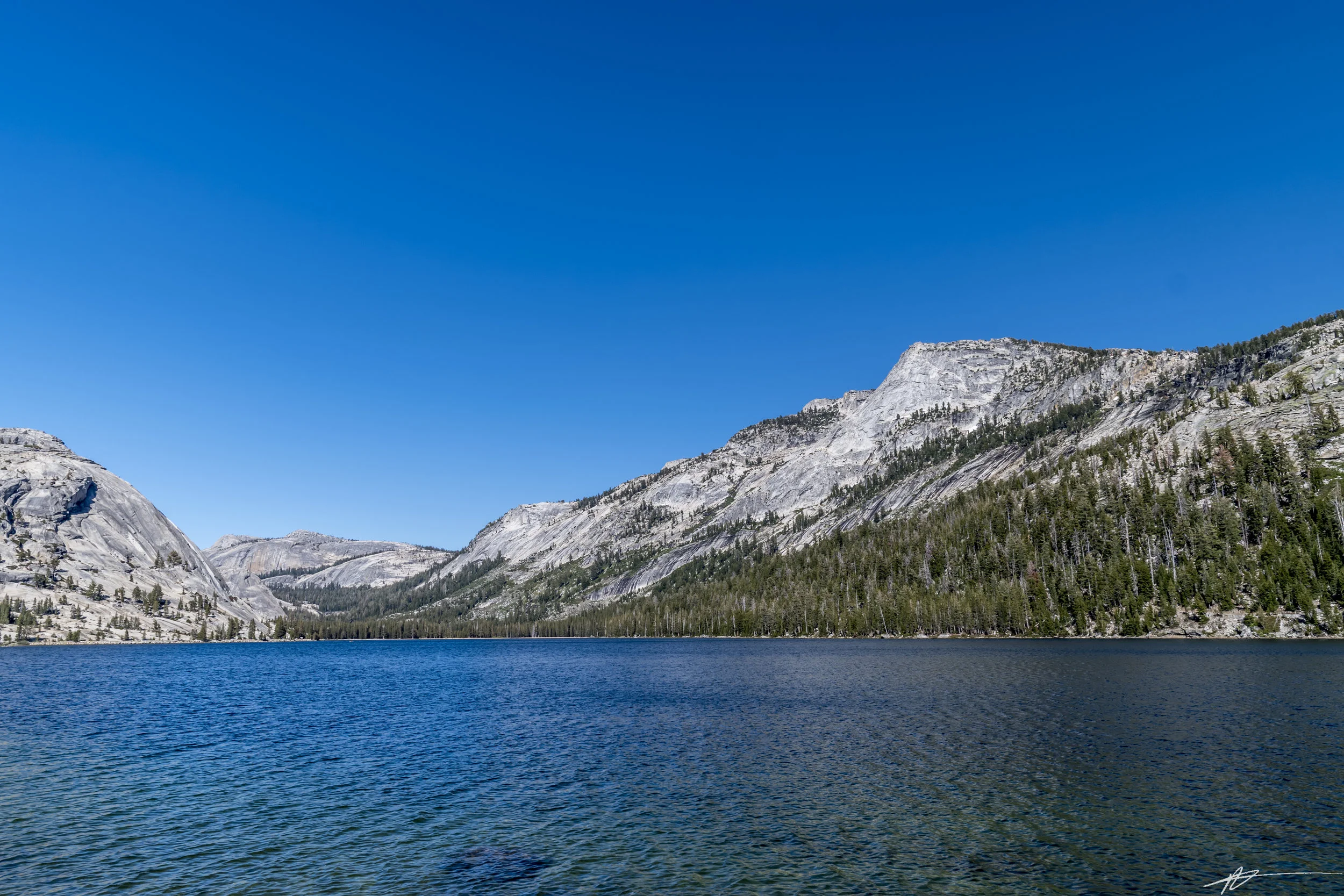 Yosemite-207.jpg