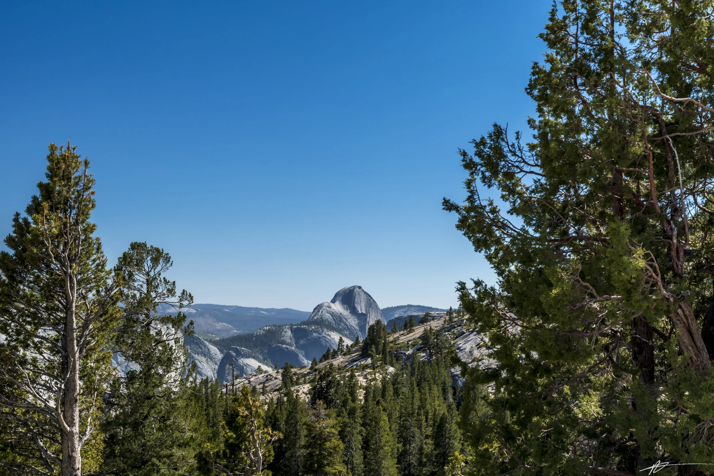 Yosemite-202.jpg