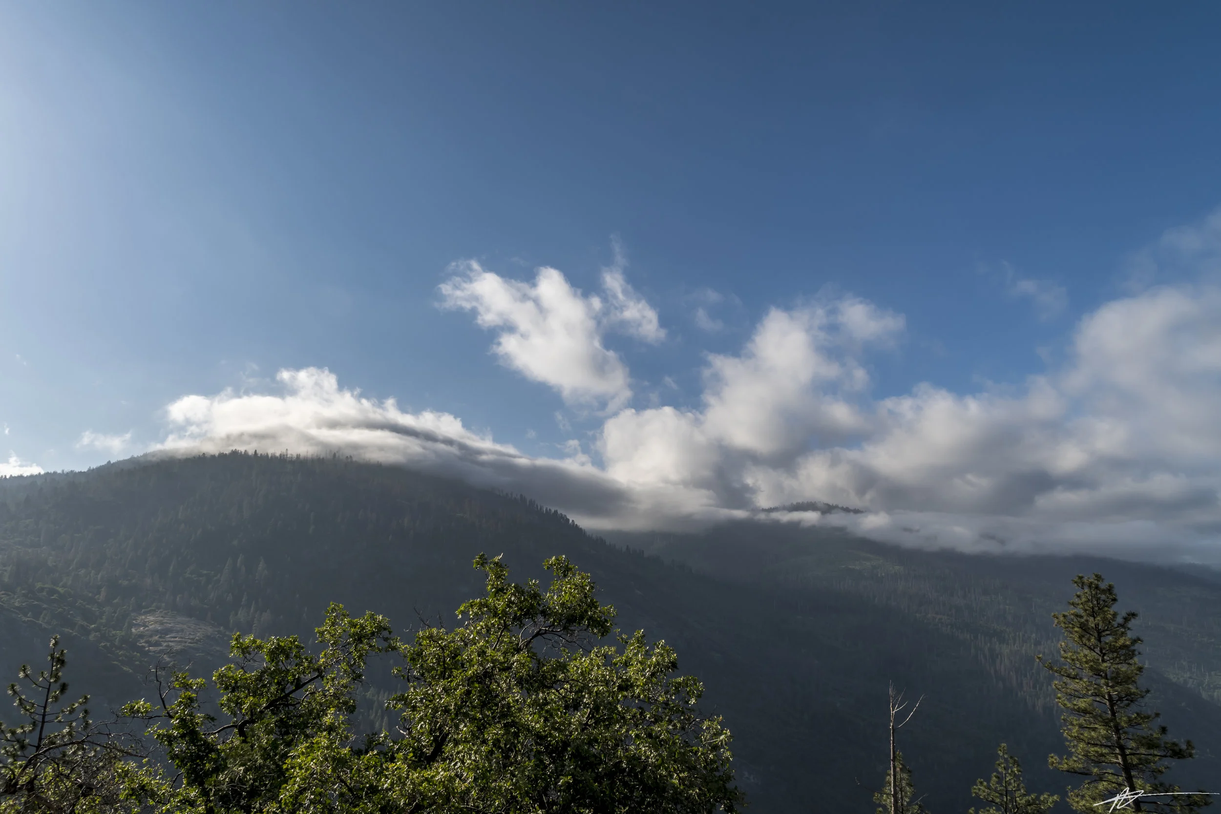 Yosemite-219.jpg