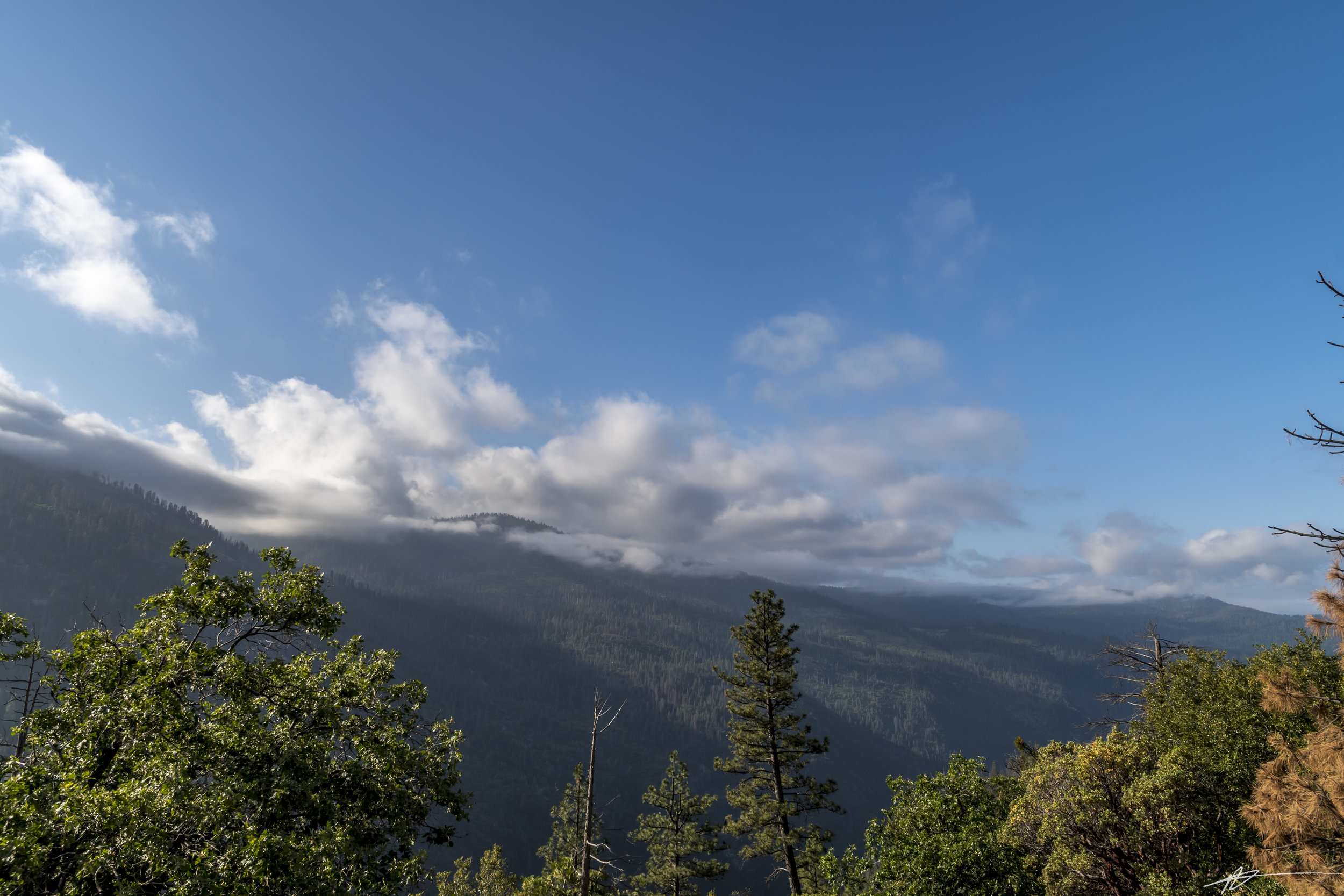 Yosemite-224.jpg
