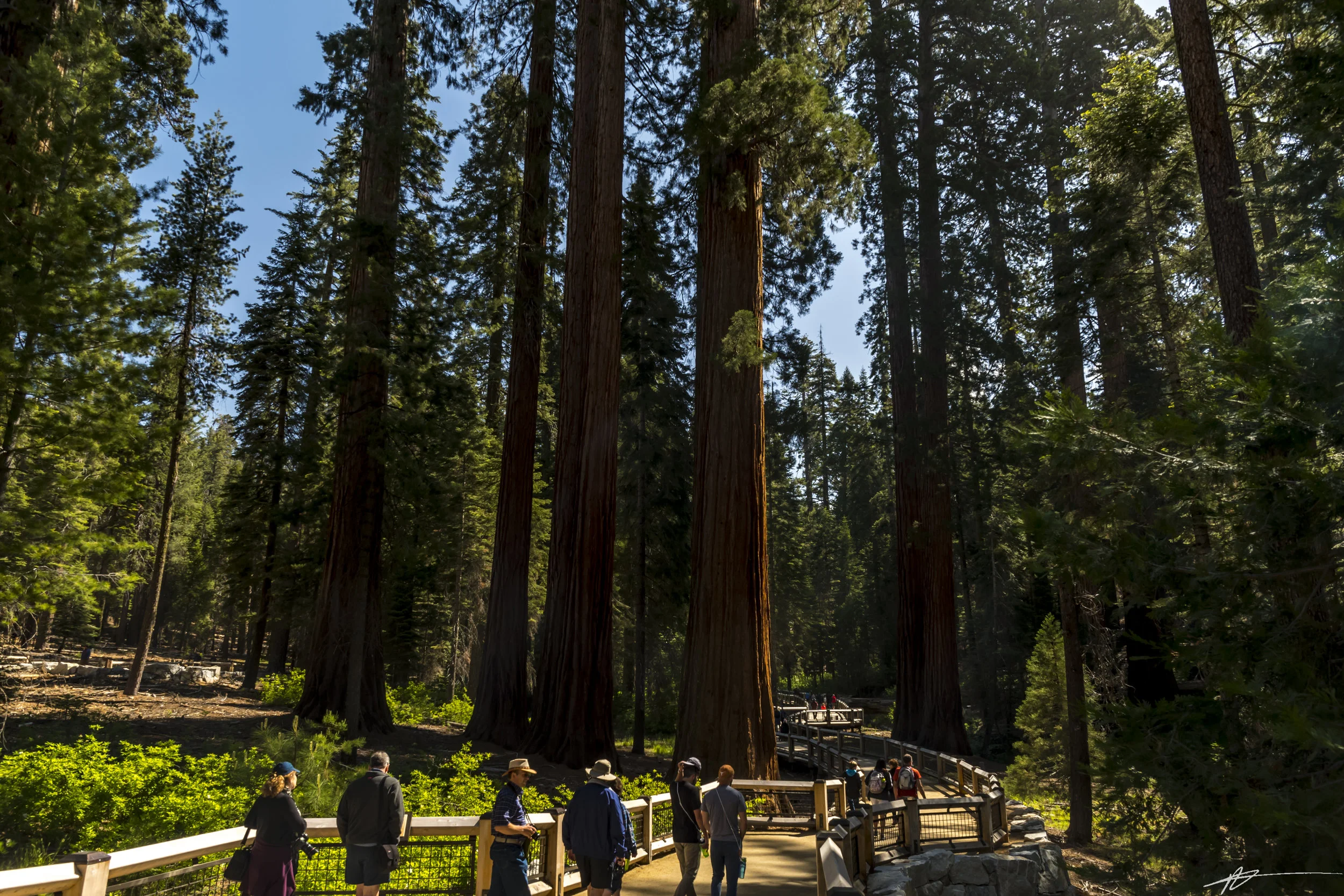 Yosemite-247.jpg