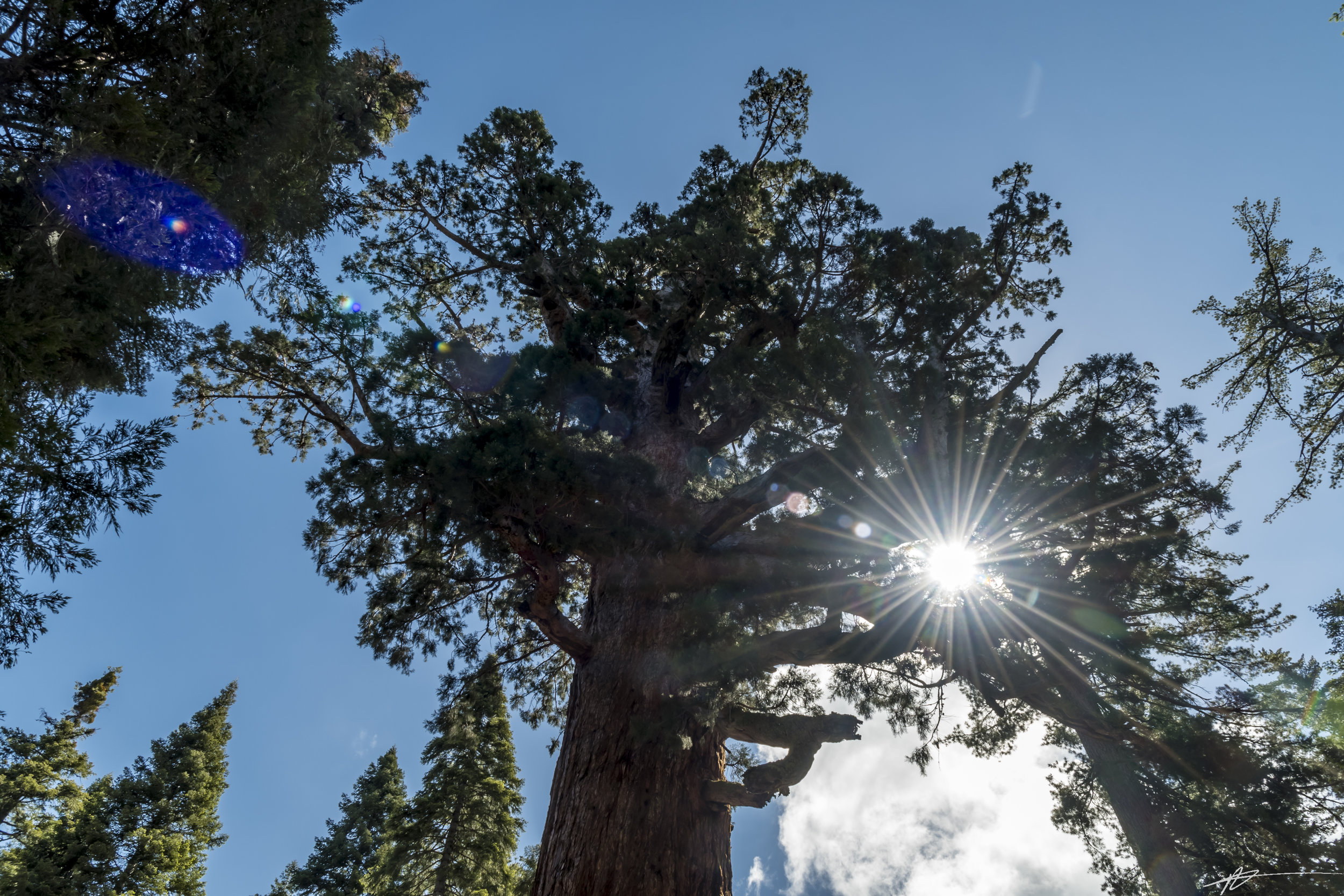 Yosemite-280.jpg