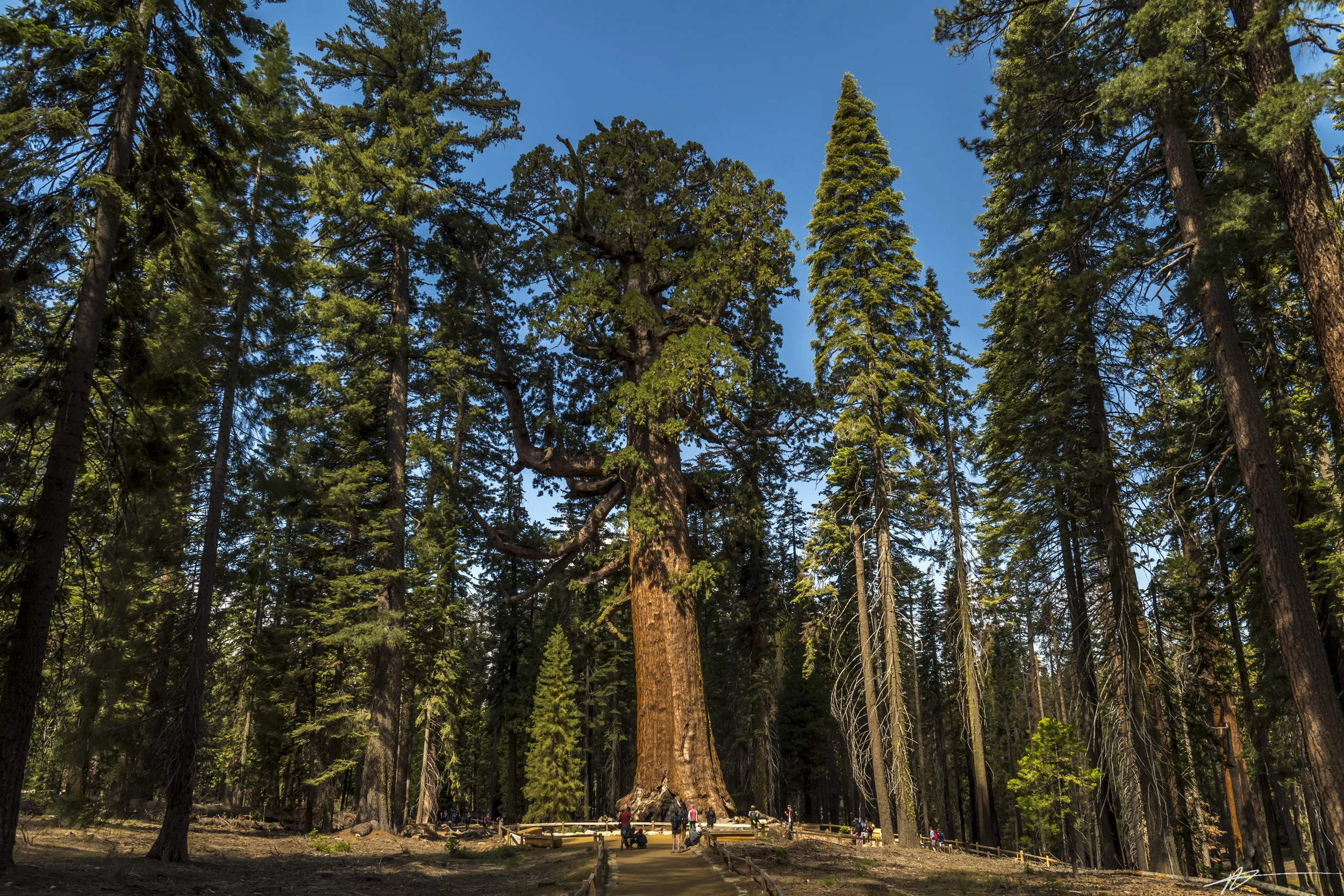 Yosemite-286.jpg