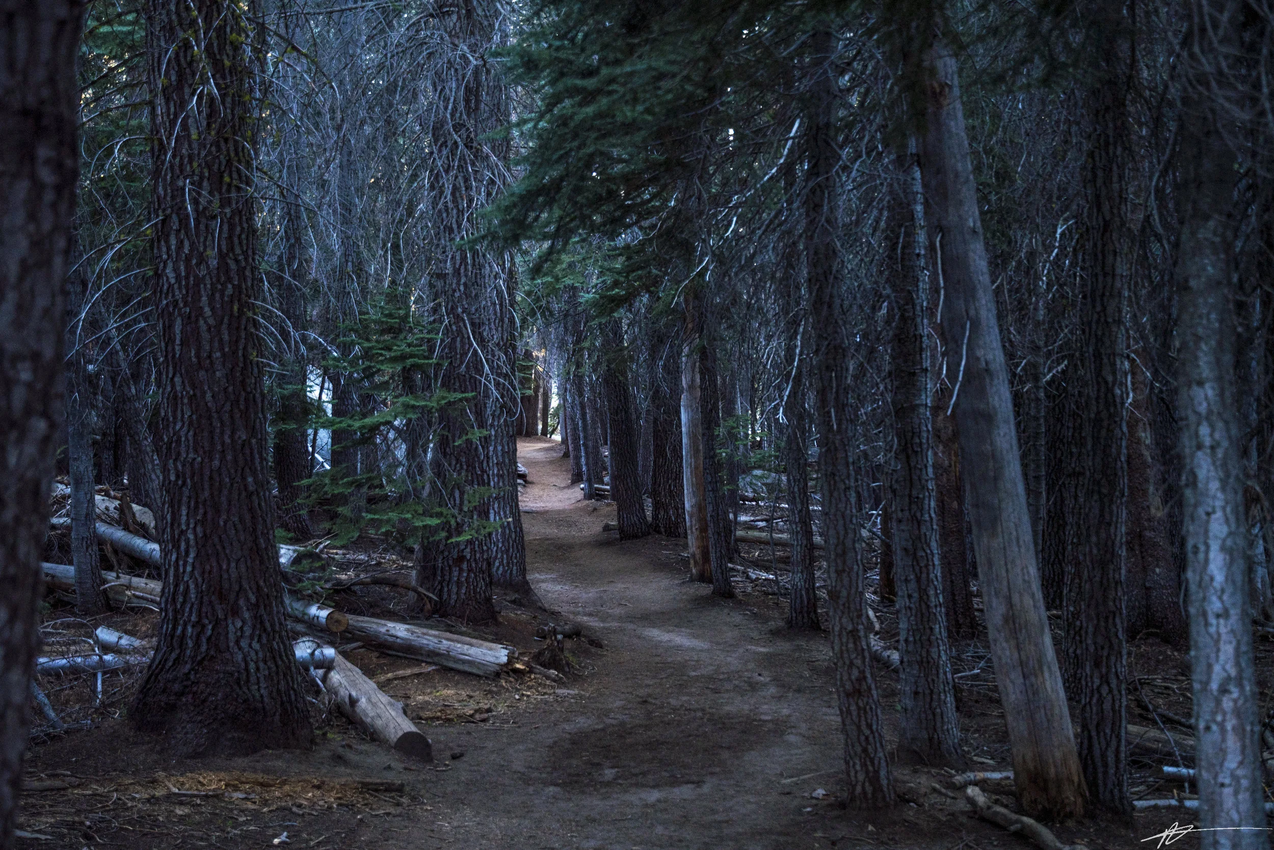 Yosemite-15.jpg