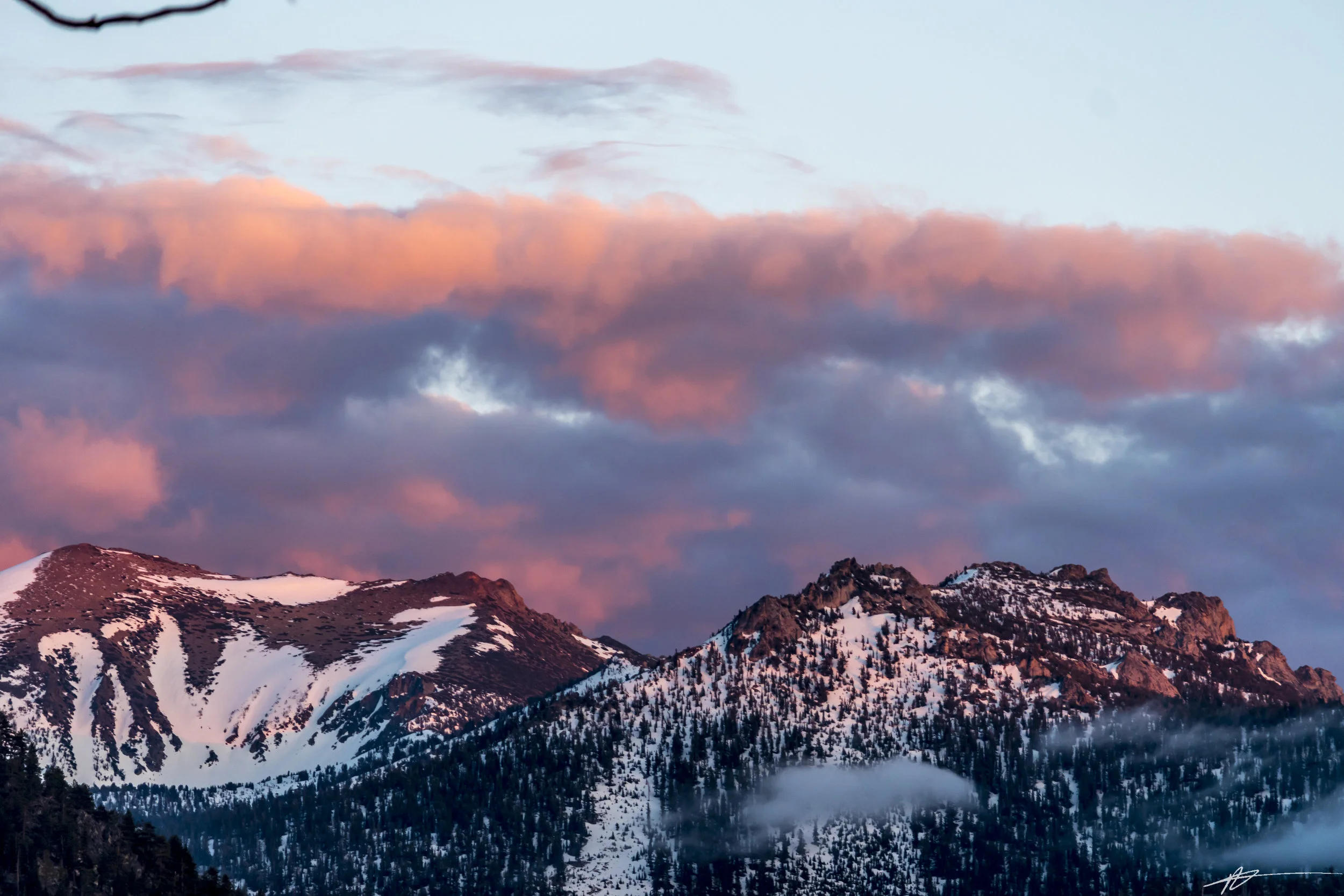 South Lake Tahoe-70.jpg