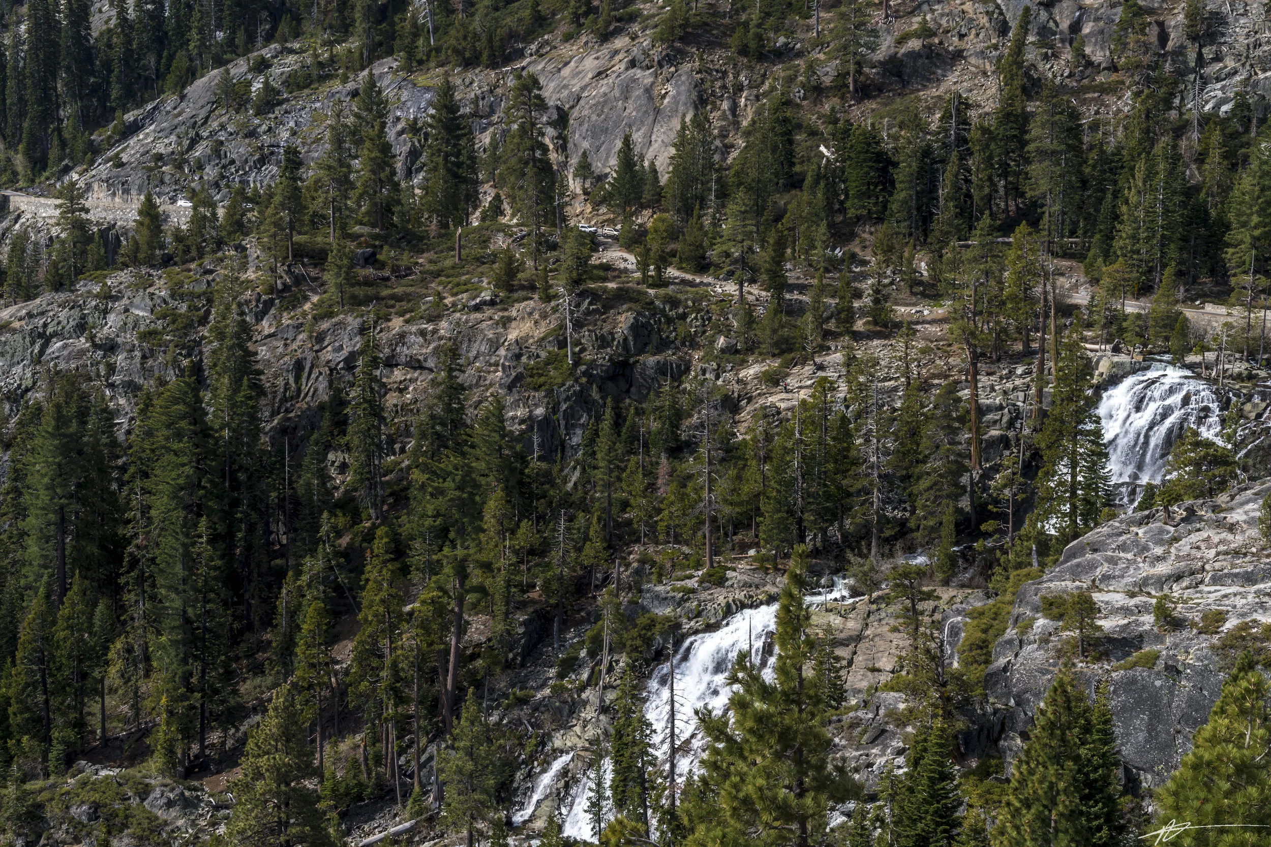 South Lake Tahoe-105.jpg