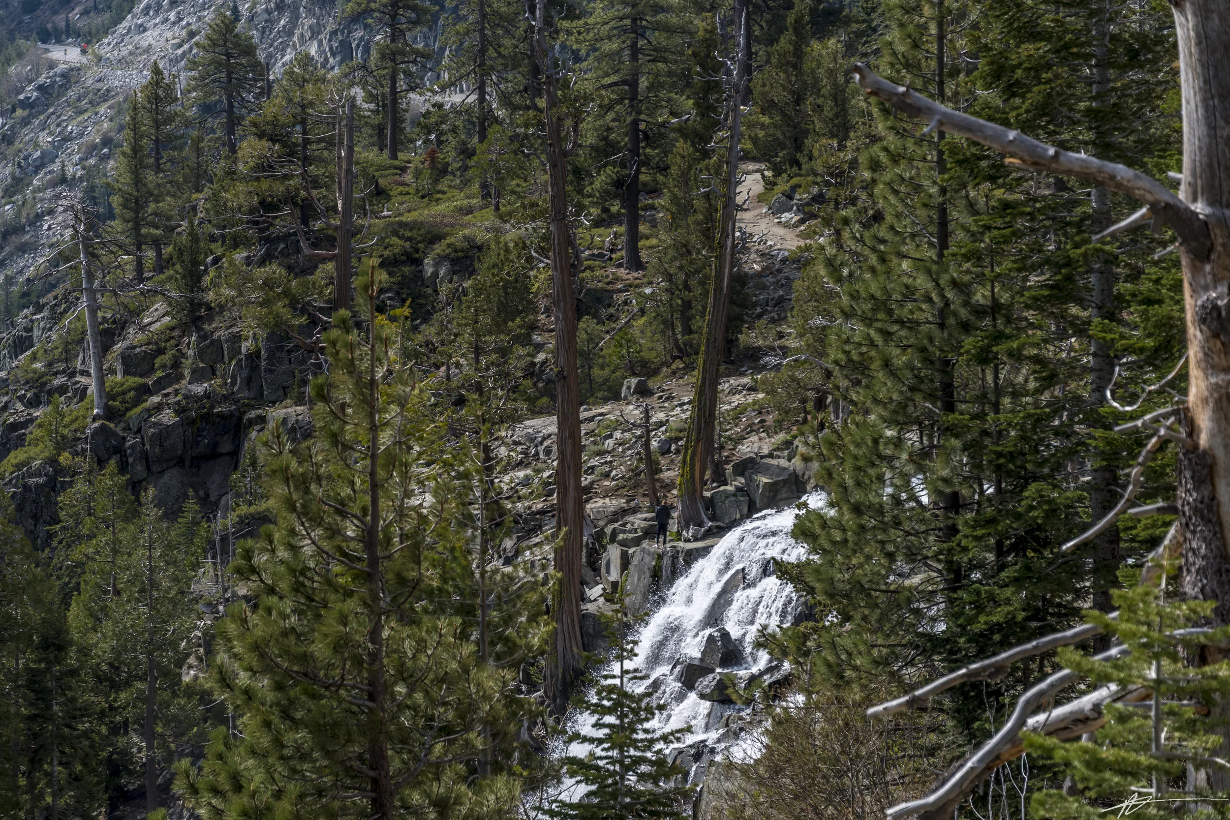 South Lake Tahoe-116.jpg