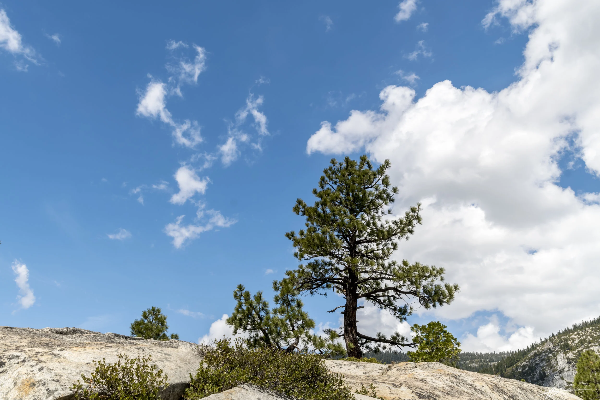 South Lake Tahoe-150.jpg