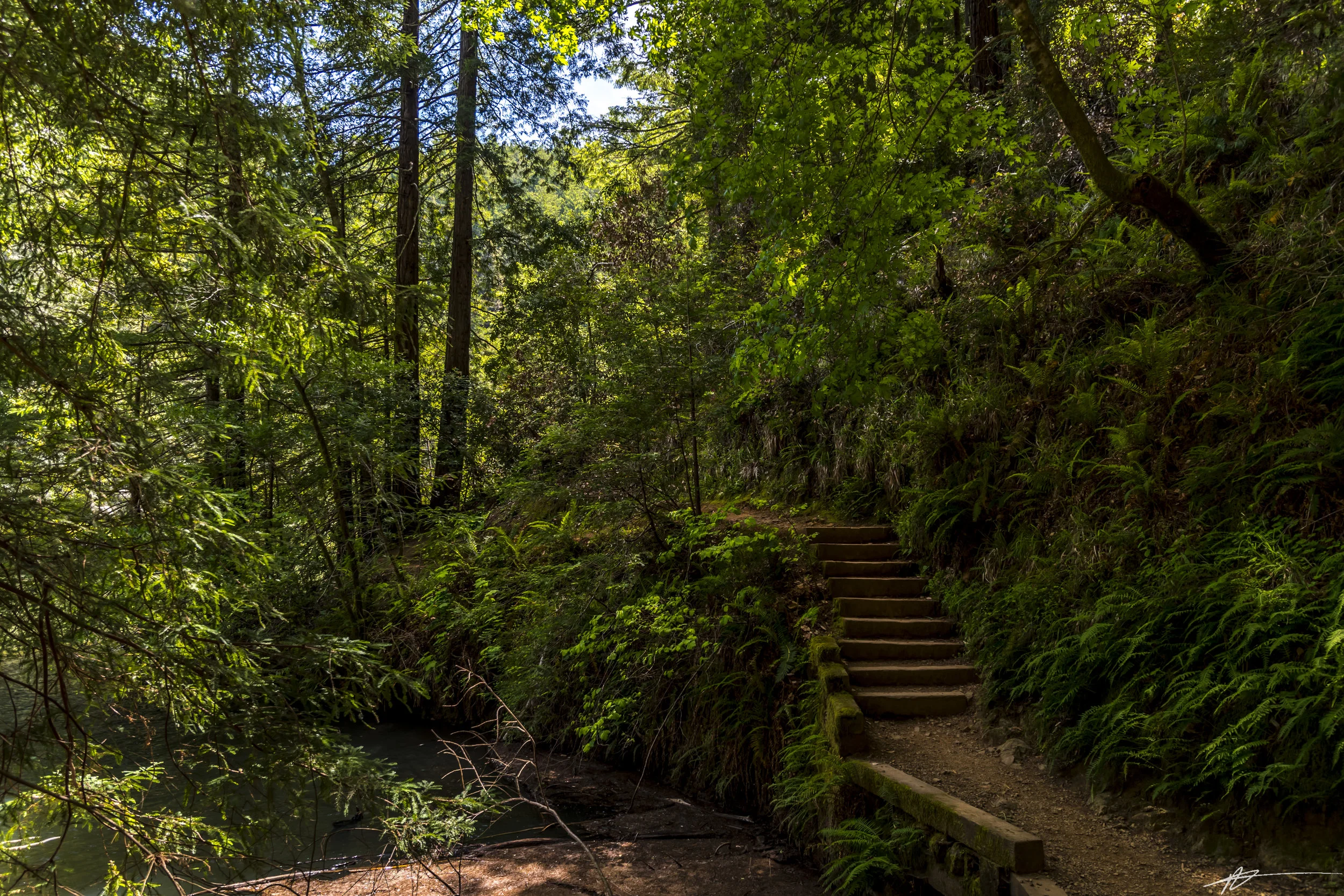 Cataract Falls 2018-7.jpg