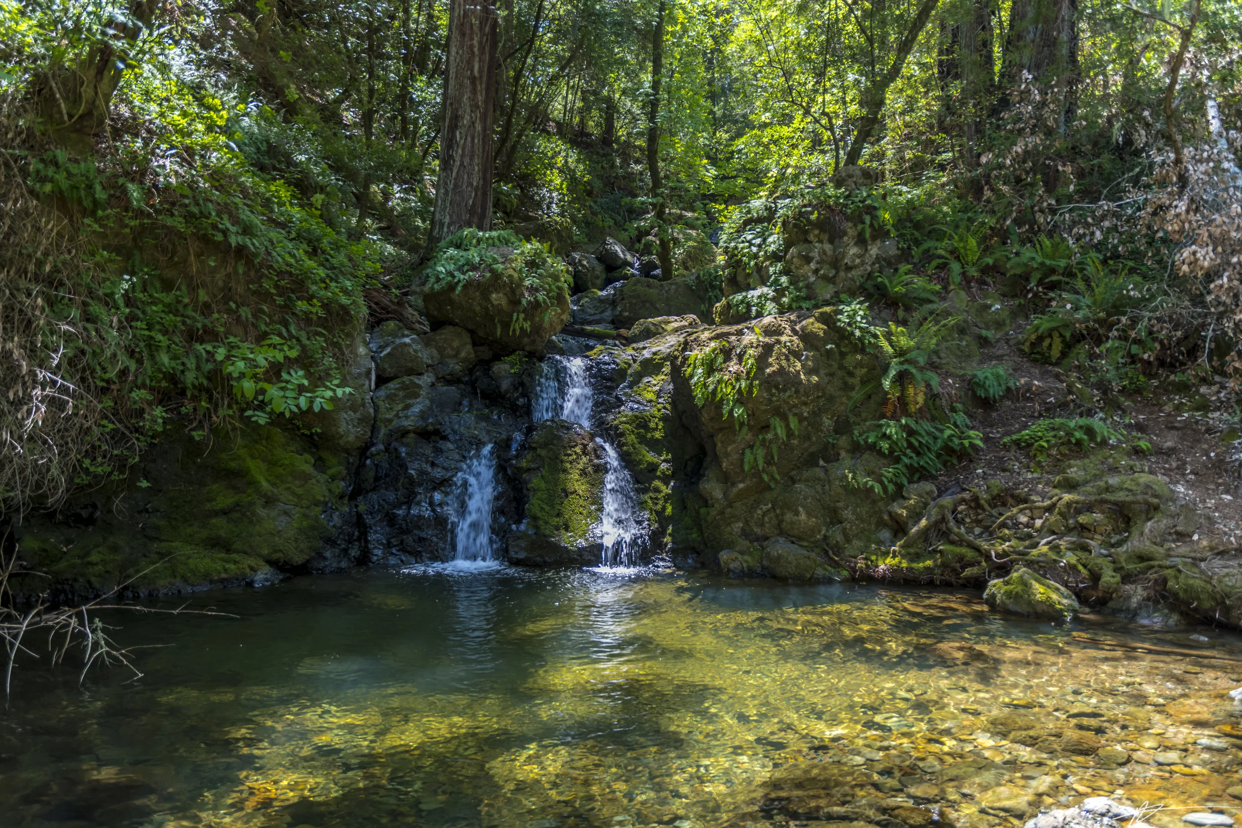 Cataract Falls 2018-30.jpg