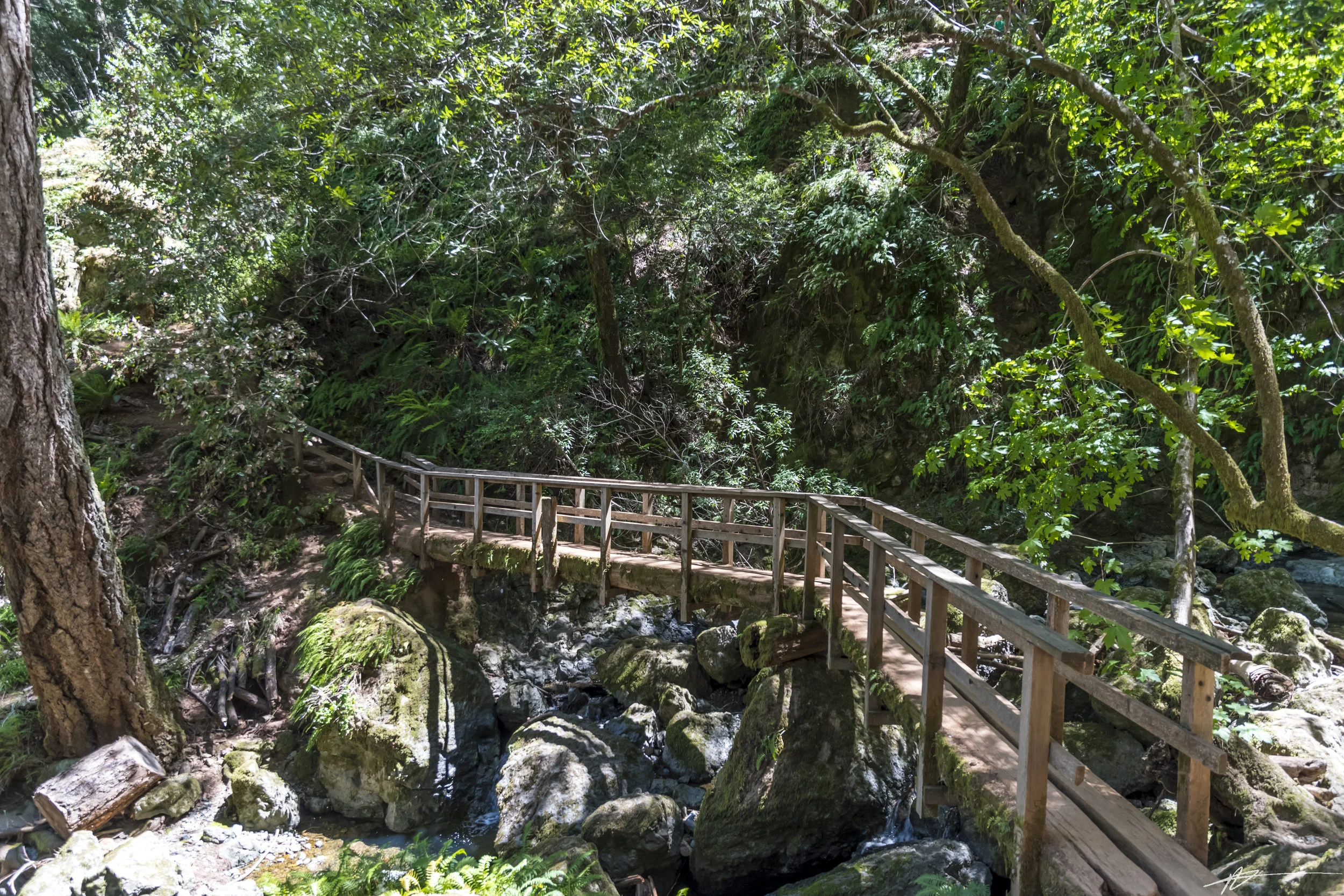 Cataract Falls 2018-13.jpg