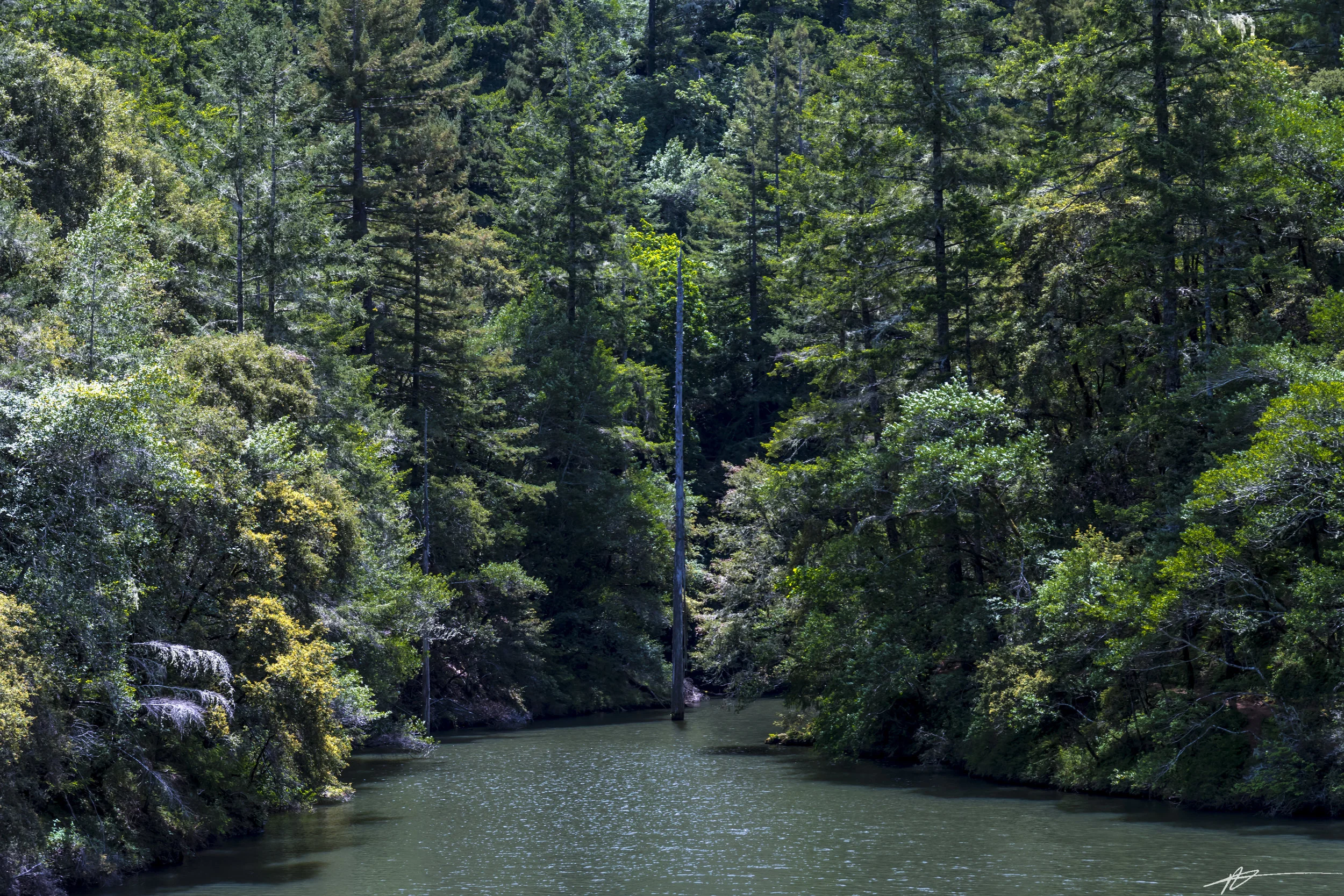 Cataract Falls 2018-48.jpg