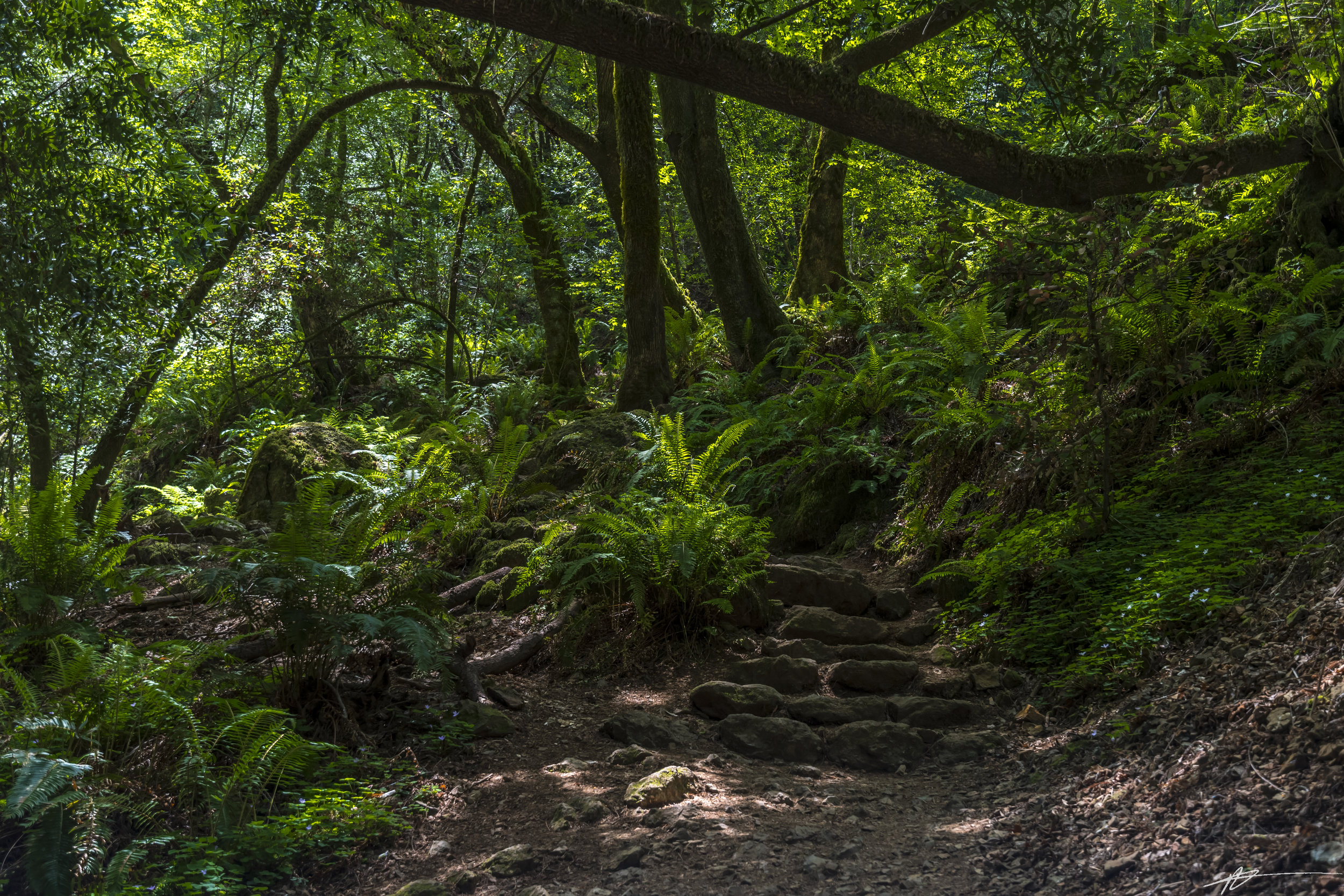 Cataract Falls 2018-49.jpg