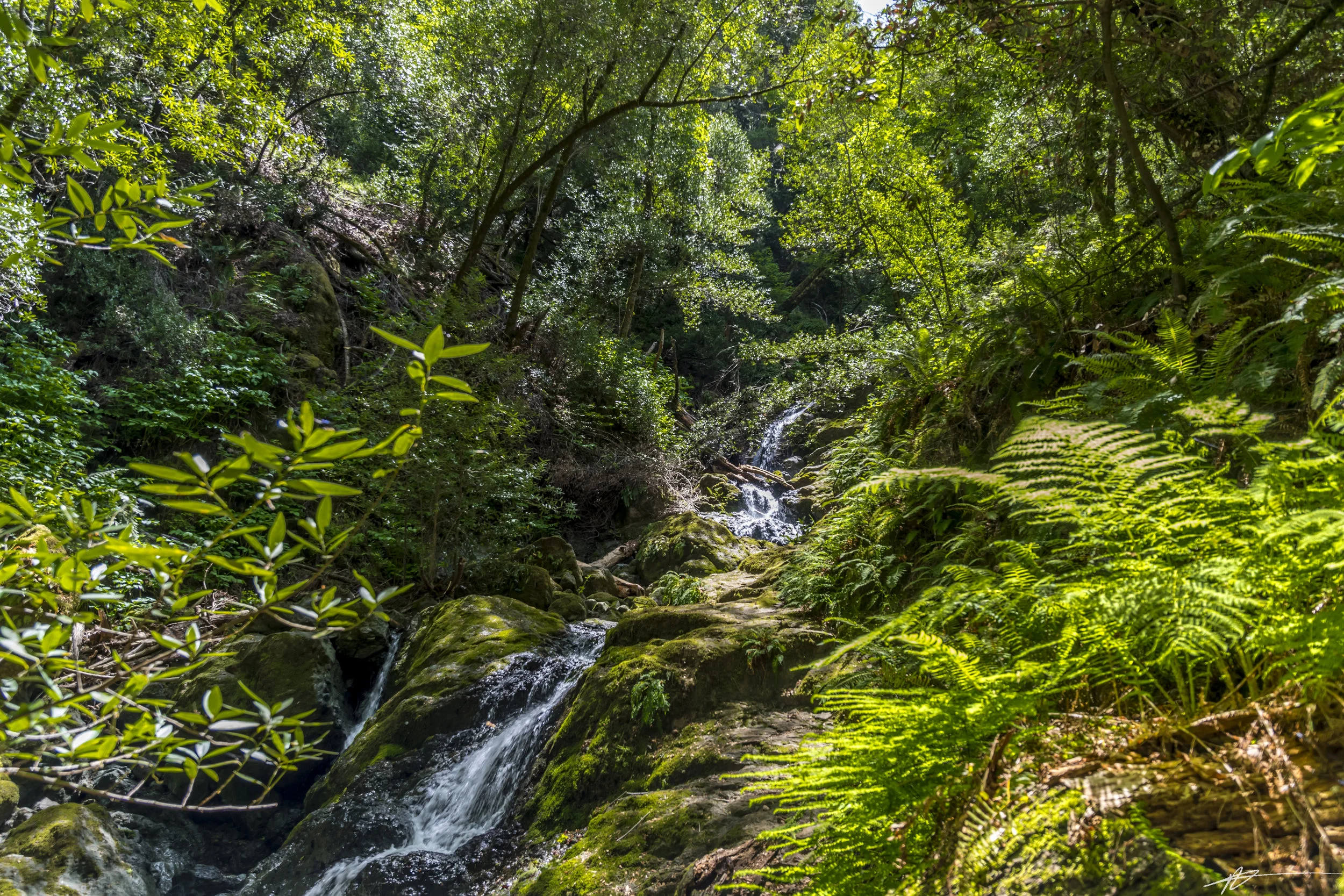 Cataract Falls 2018-51.jpg