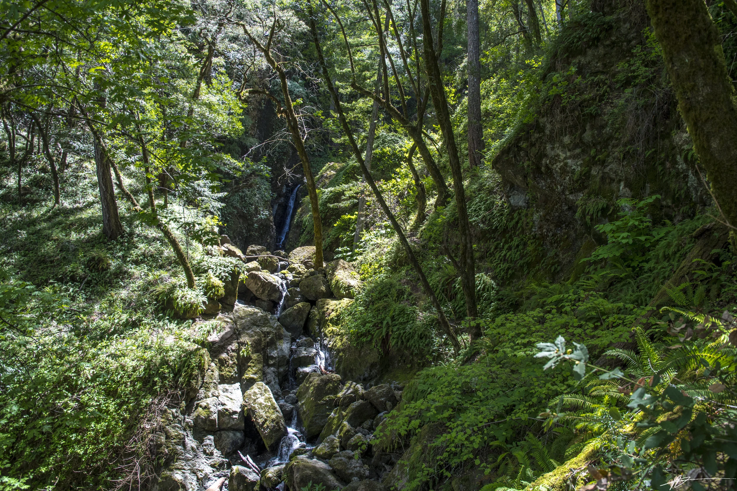 Cataract Falls 2018-56.jpg