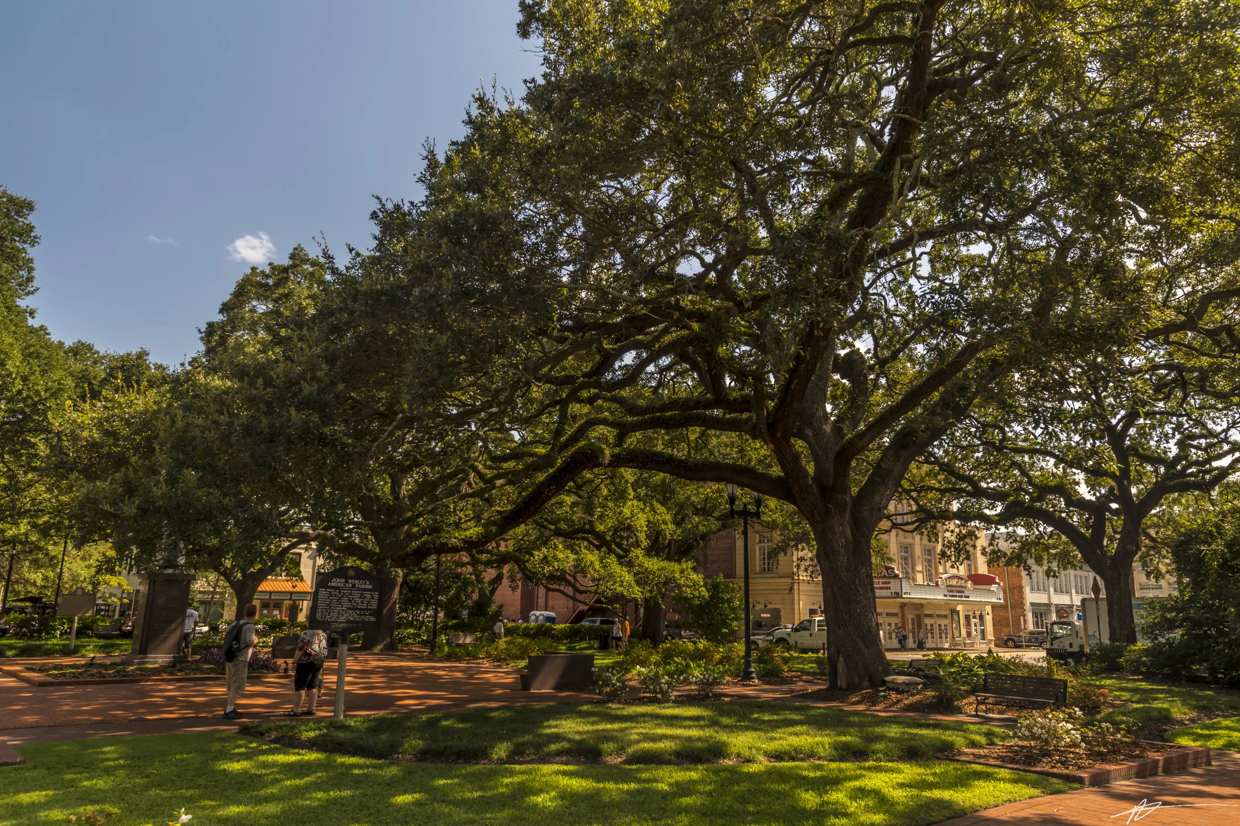 Savannah-49.jpg