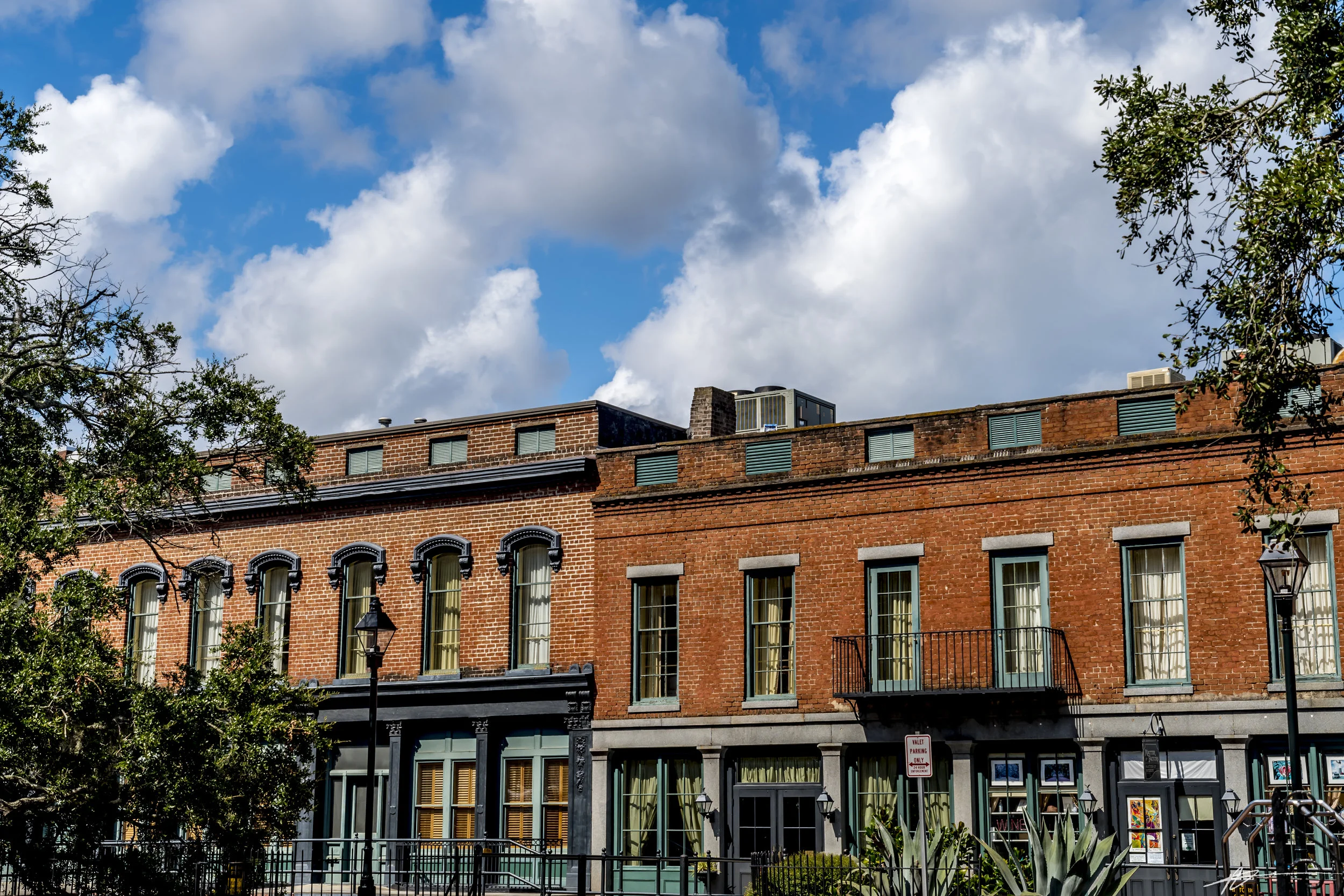 Savannah-59.jpg