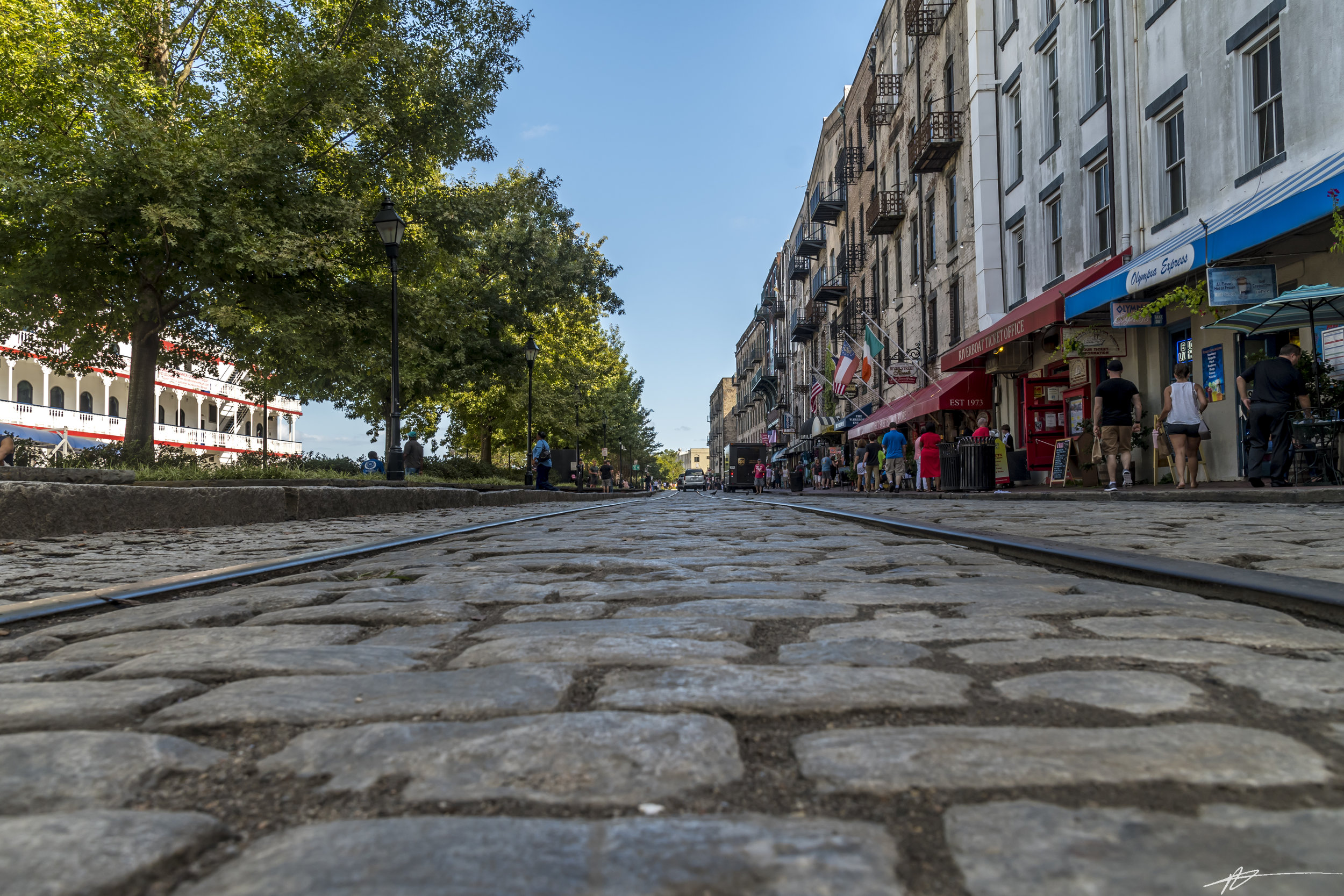 Savannah-68.jpg