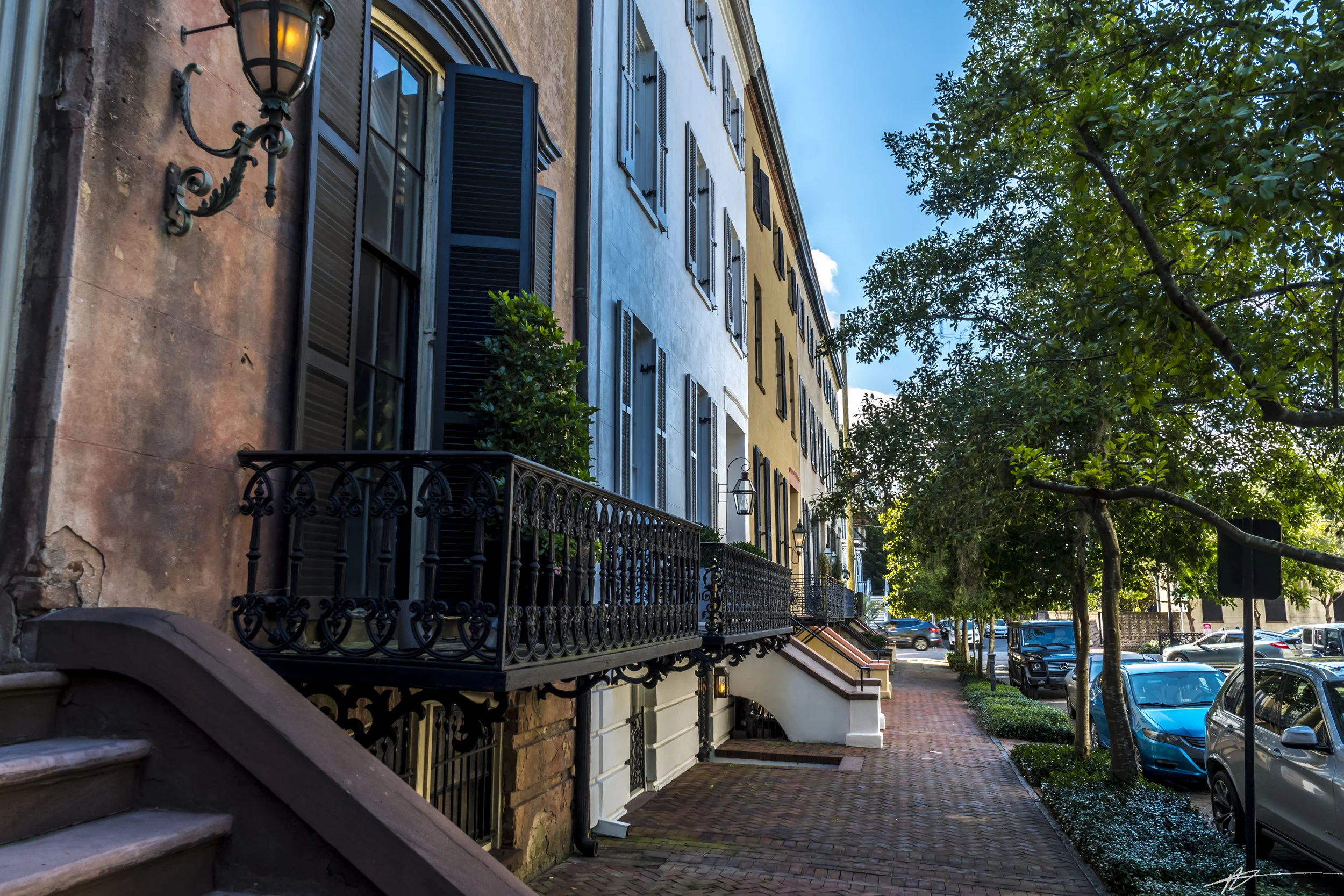 Savannah-88.jpg