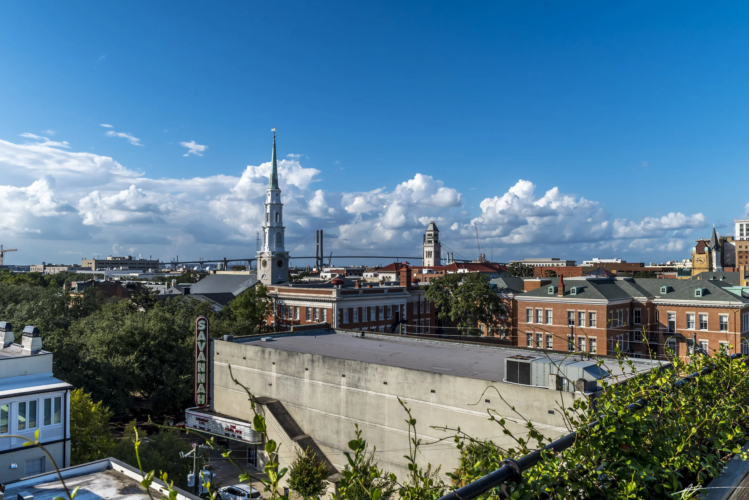 Savannah-97.jpg