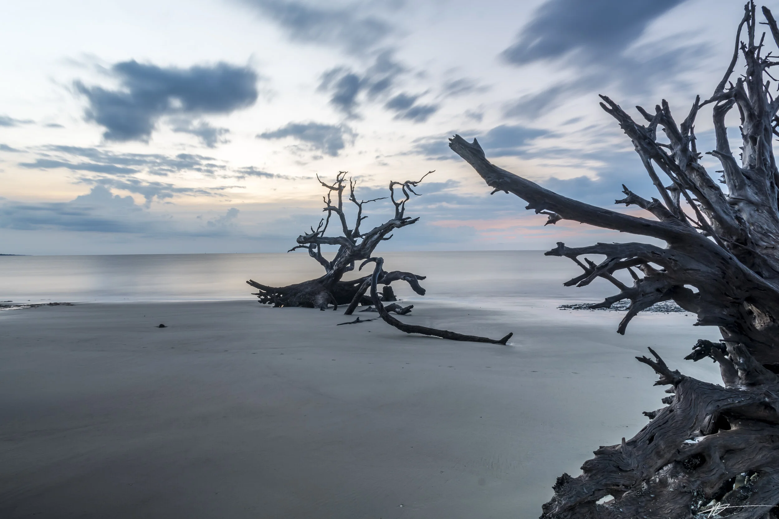 Driftwood Beach-27.jpg