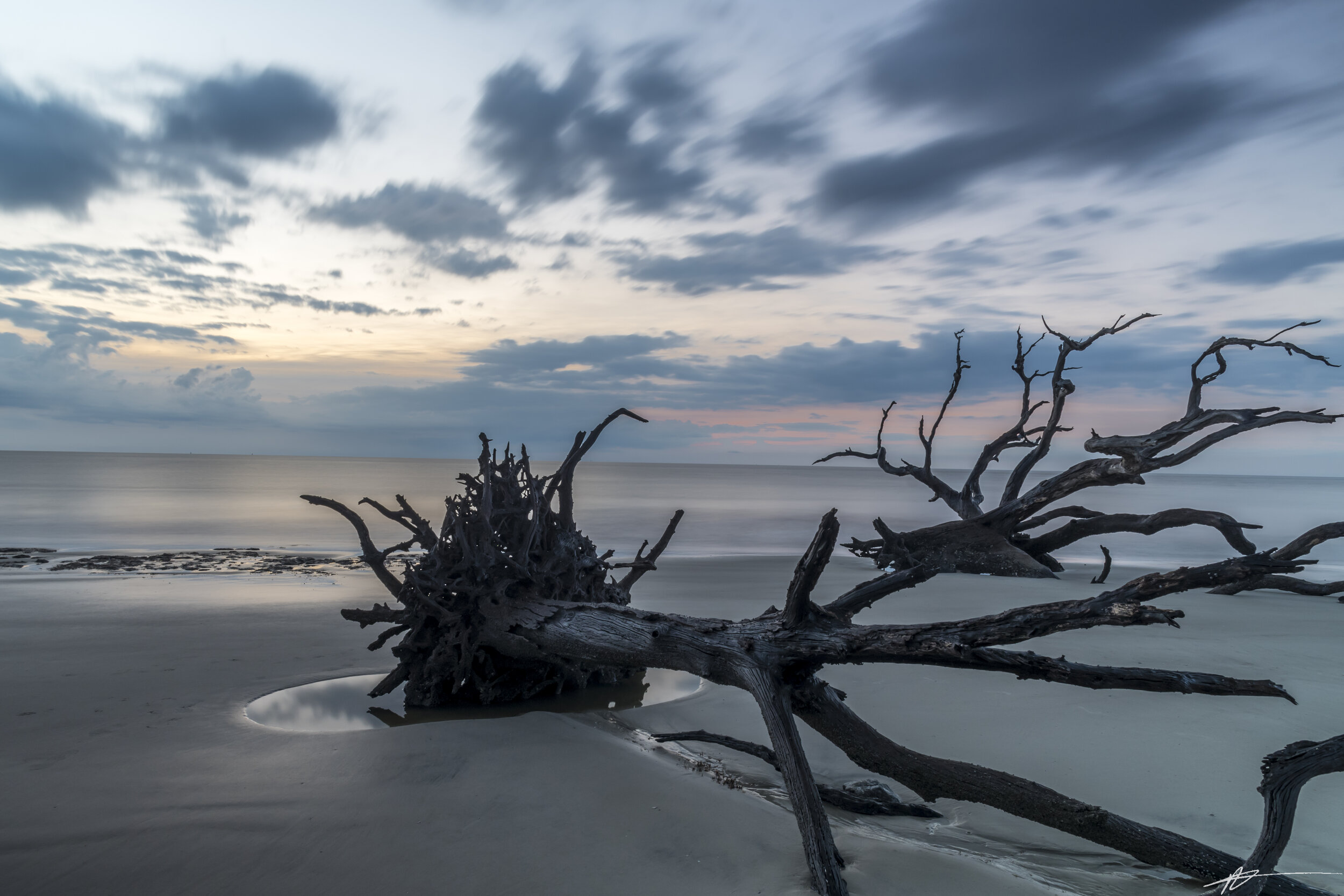 Driftwood Beach-26.jpg