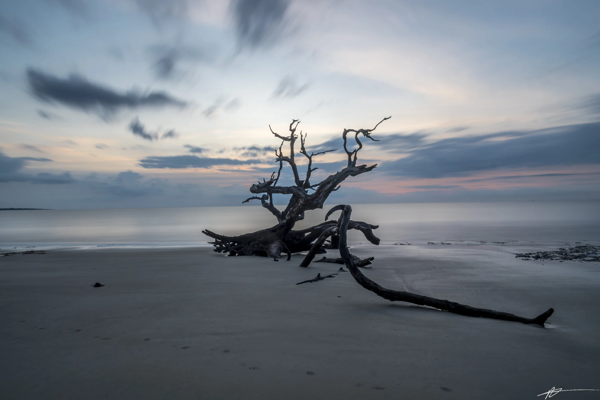 Driftwood Beach-32.jpg