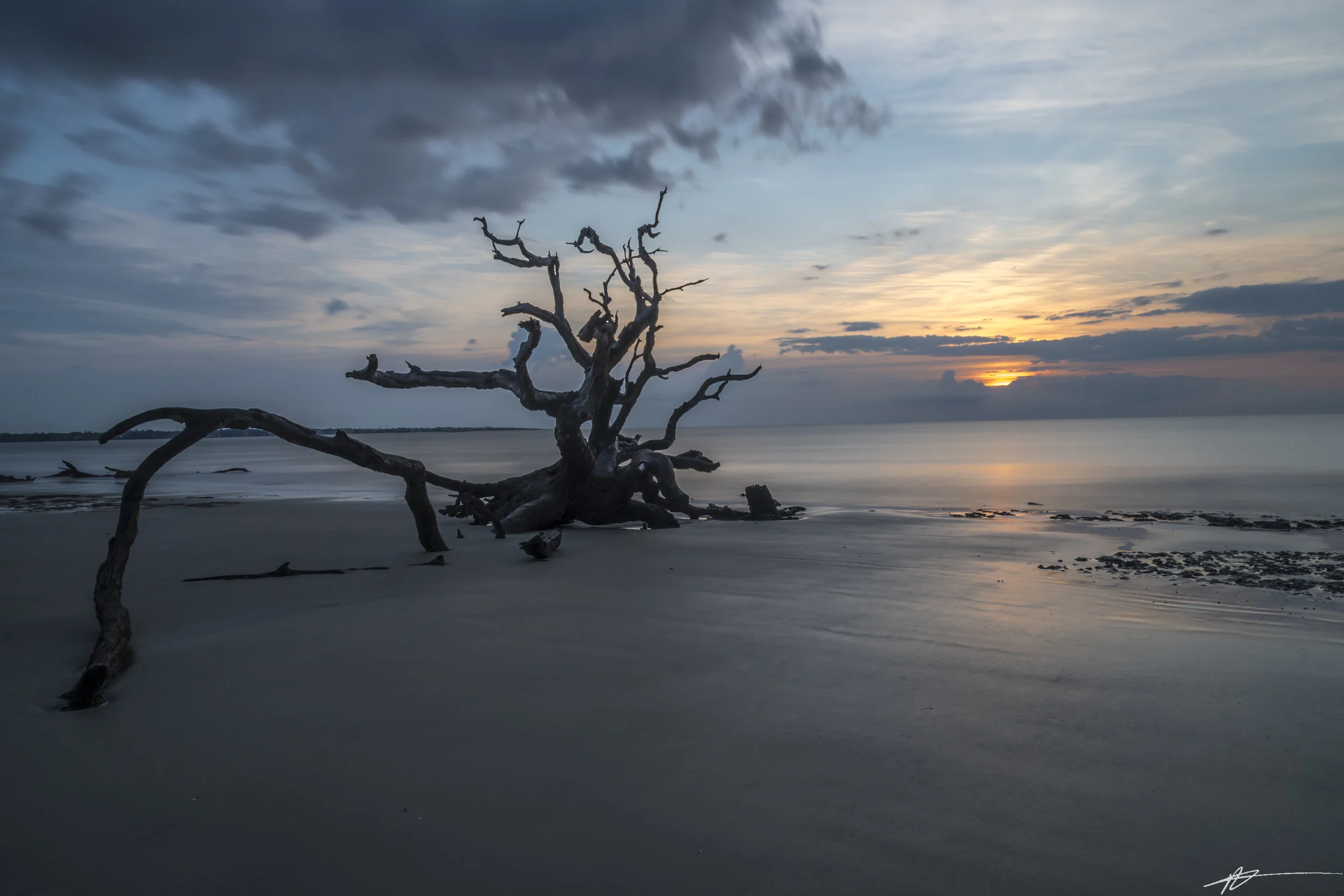 Driftwood Beach-39.jpg