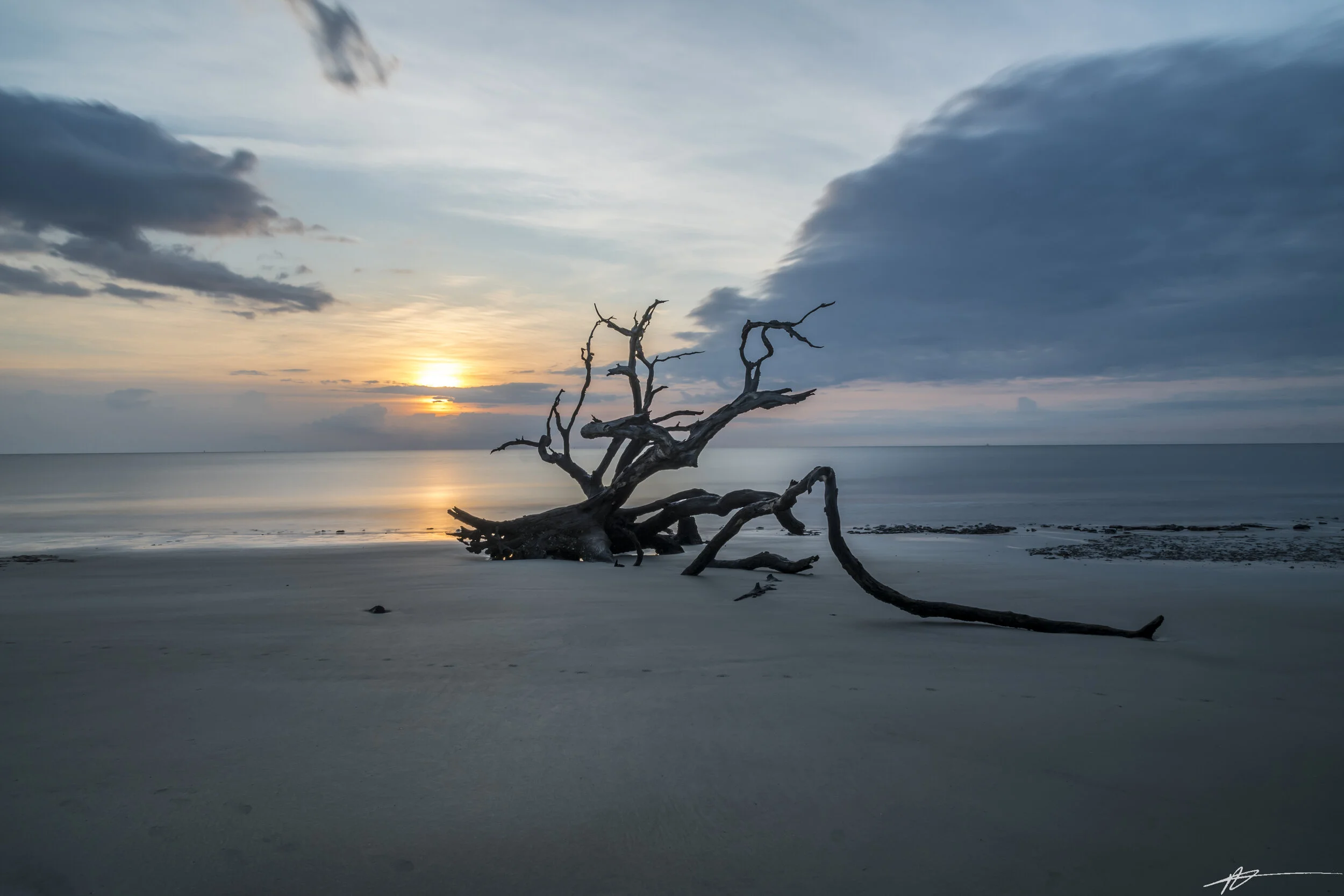 Driftwood Beach-43.jpg