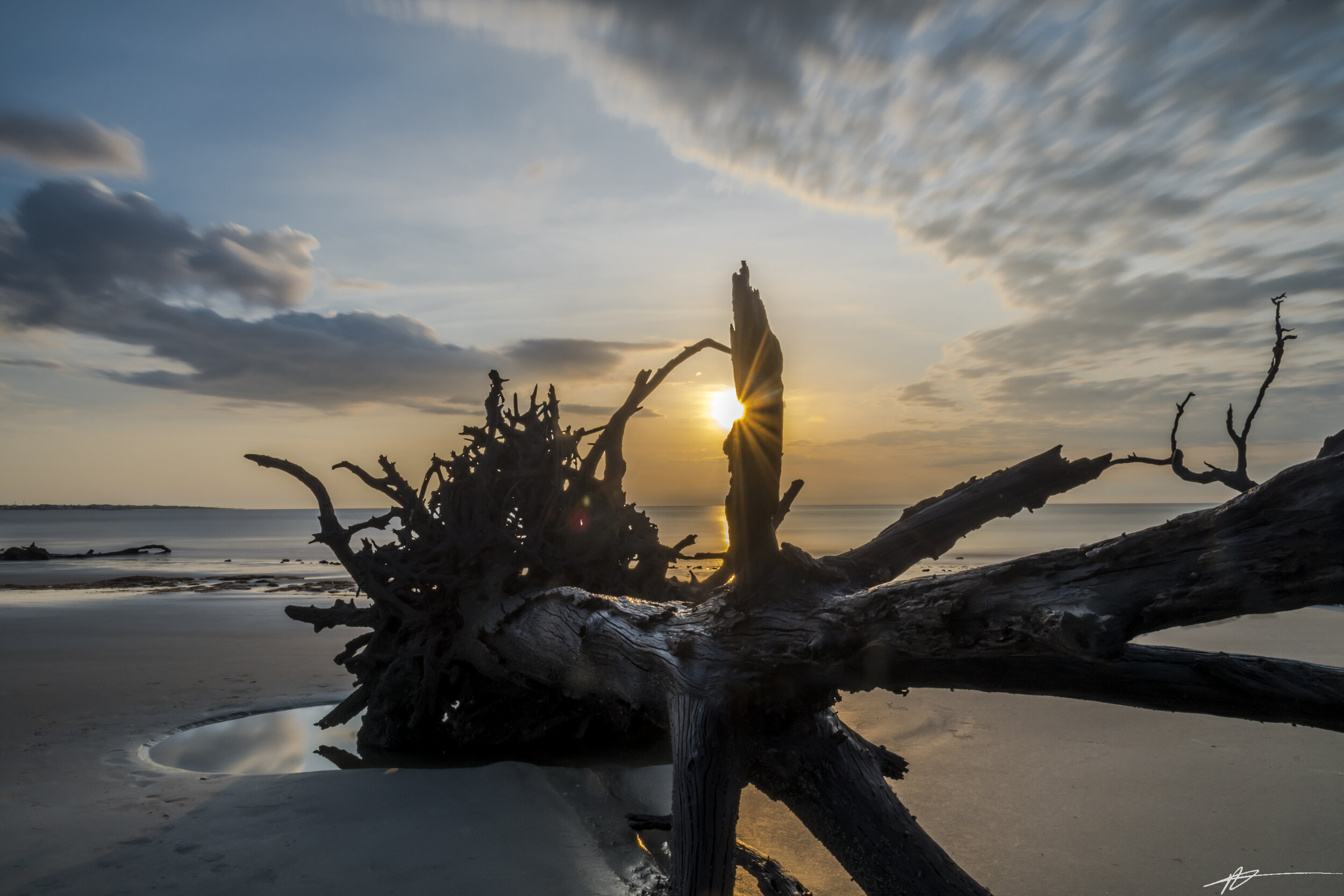 Driftwood Beach-55.jpg