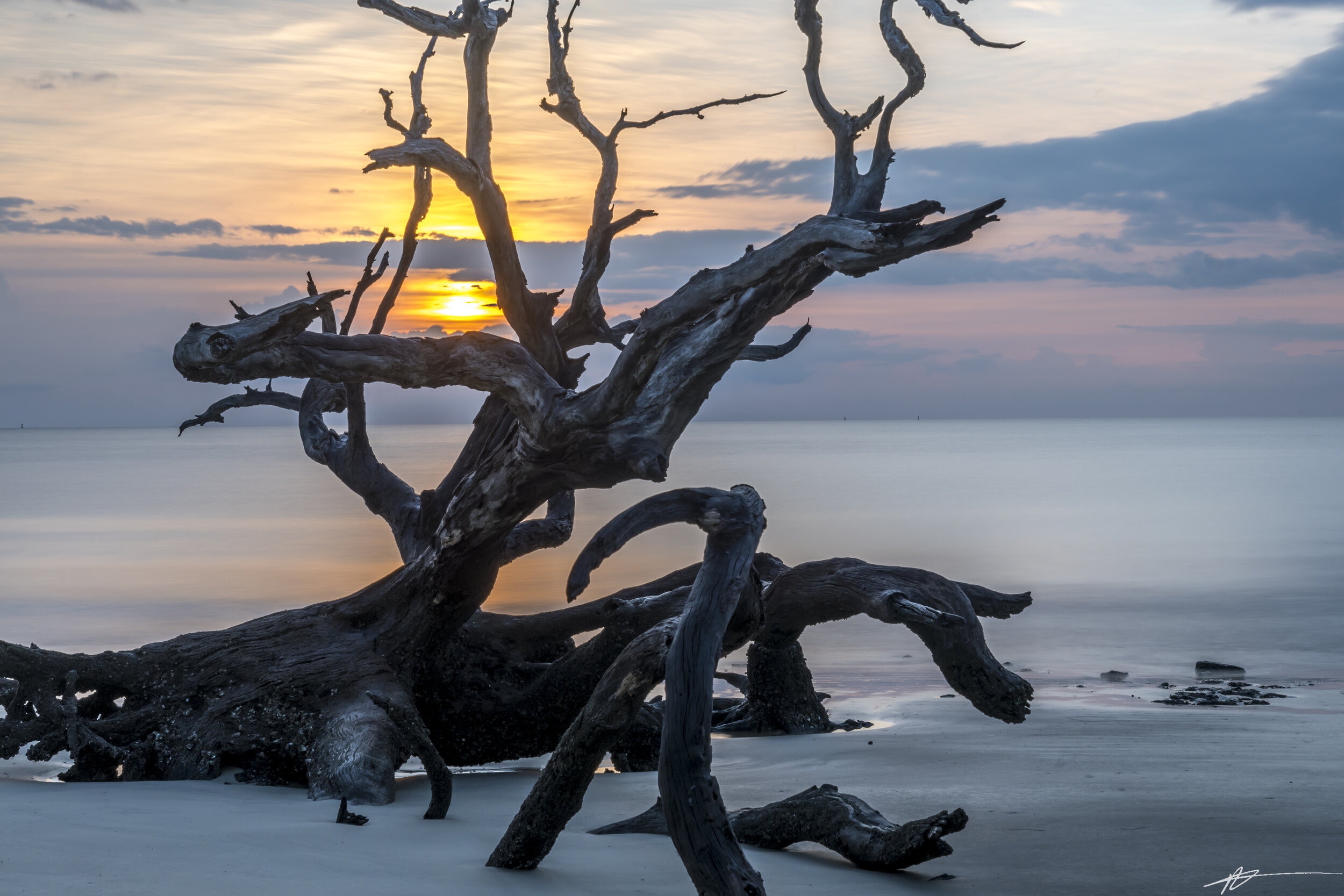 Driftwood Beach-42.jpg