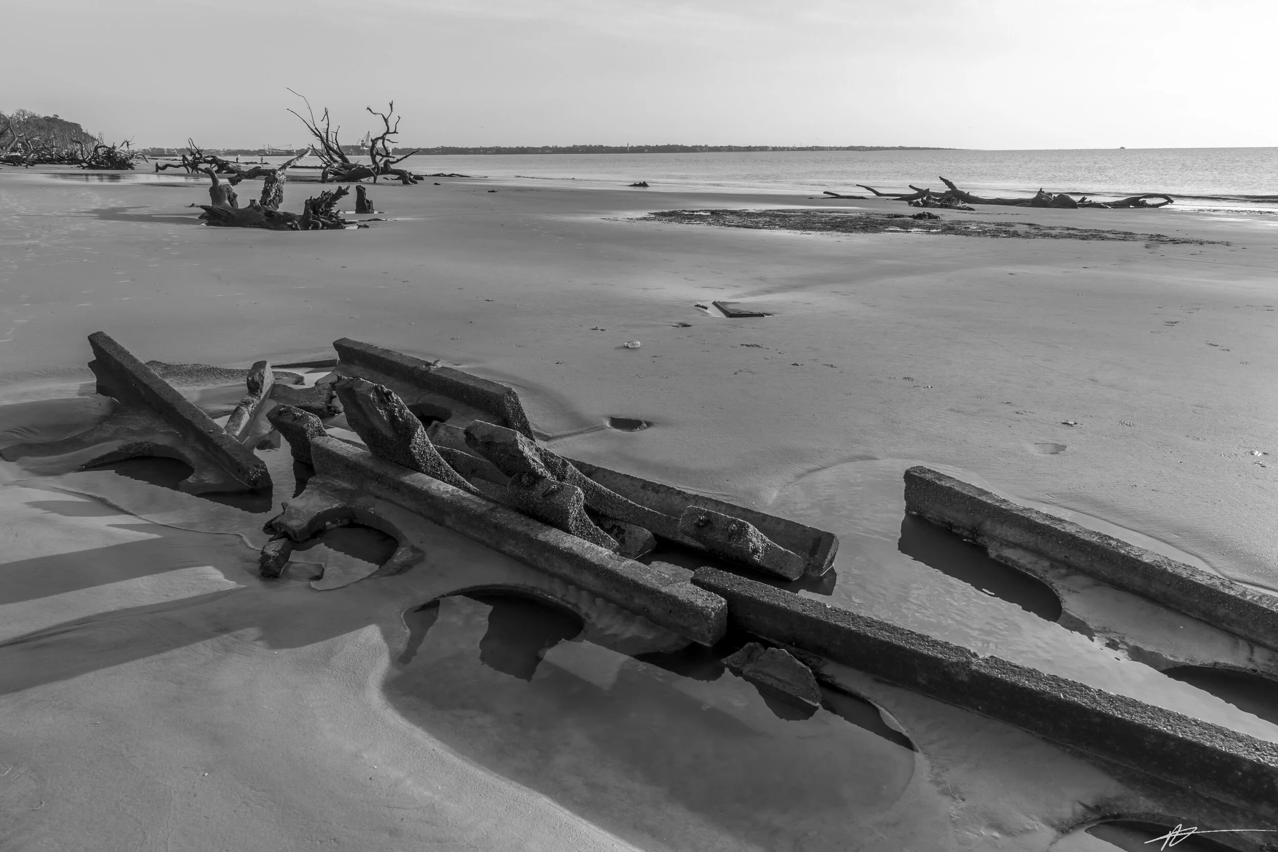 Driftwood Beach-76.jpg
