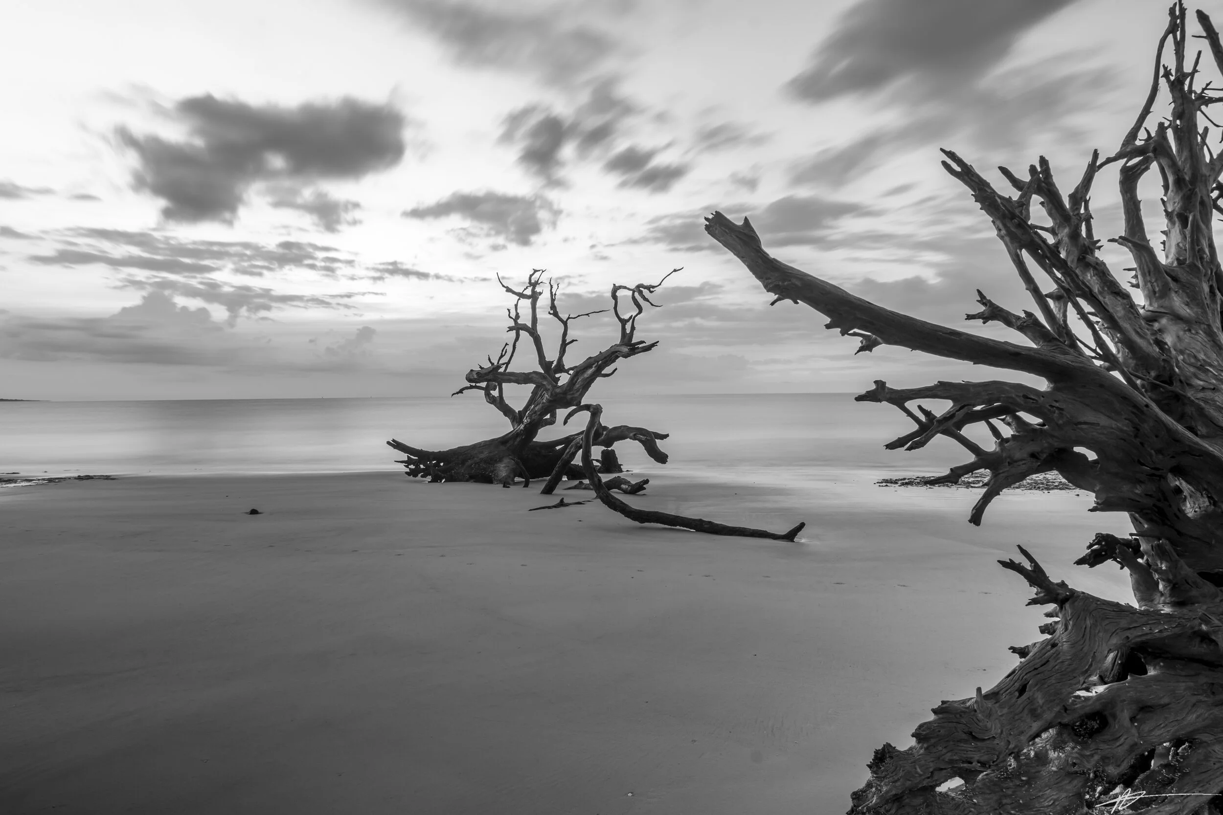 Driftwood Beach-27.jpg
