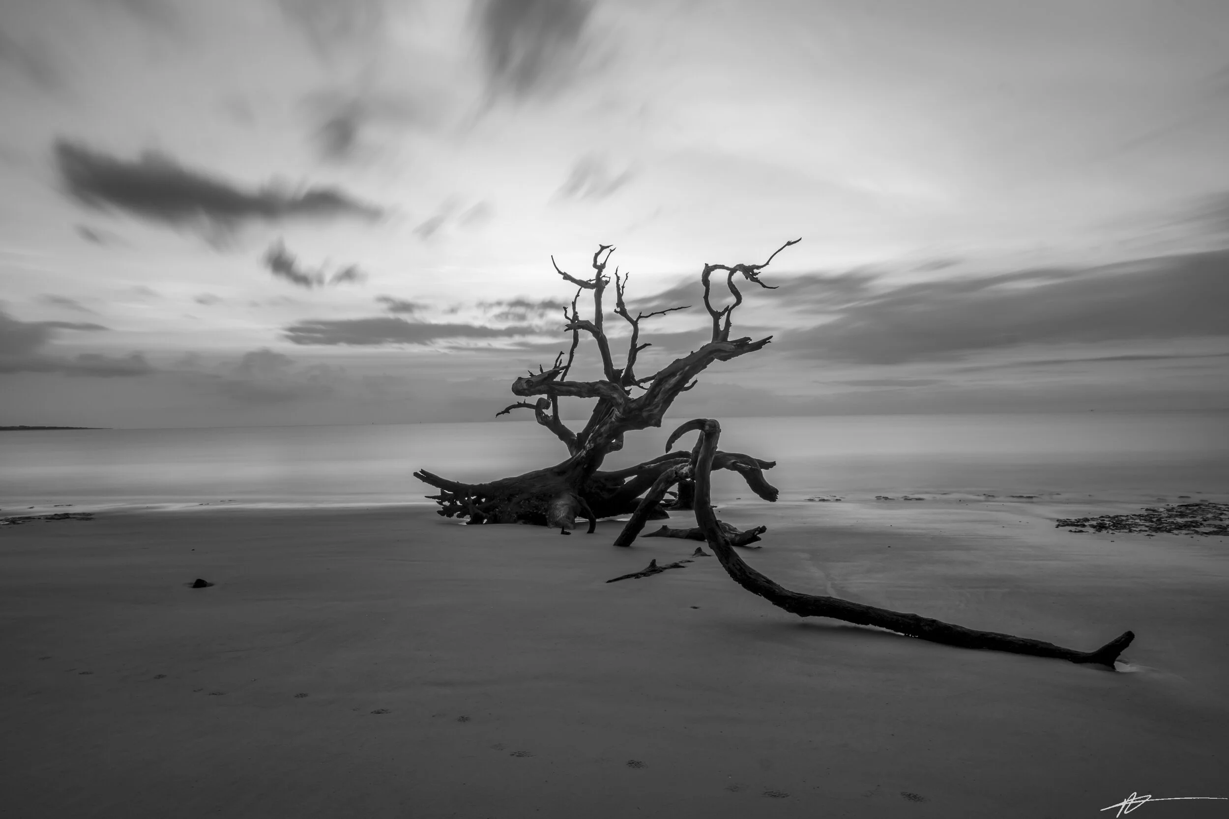 Driftwood Beach-32.jpg
