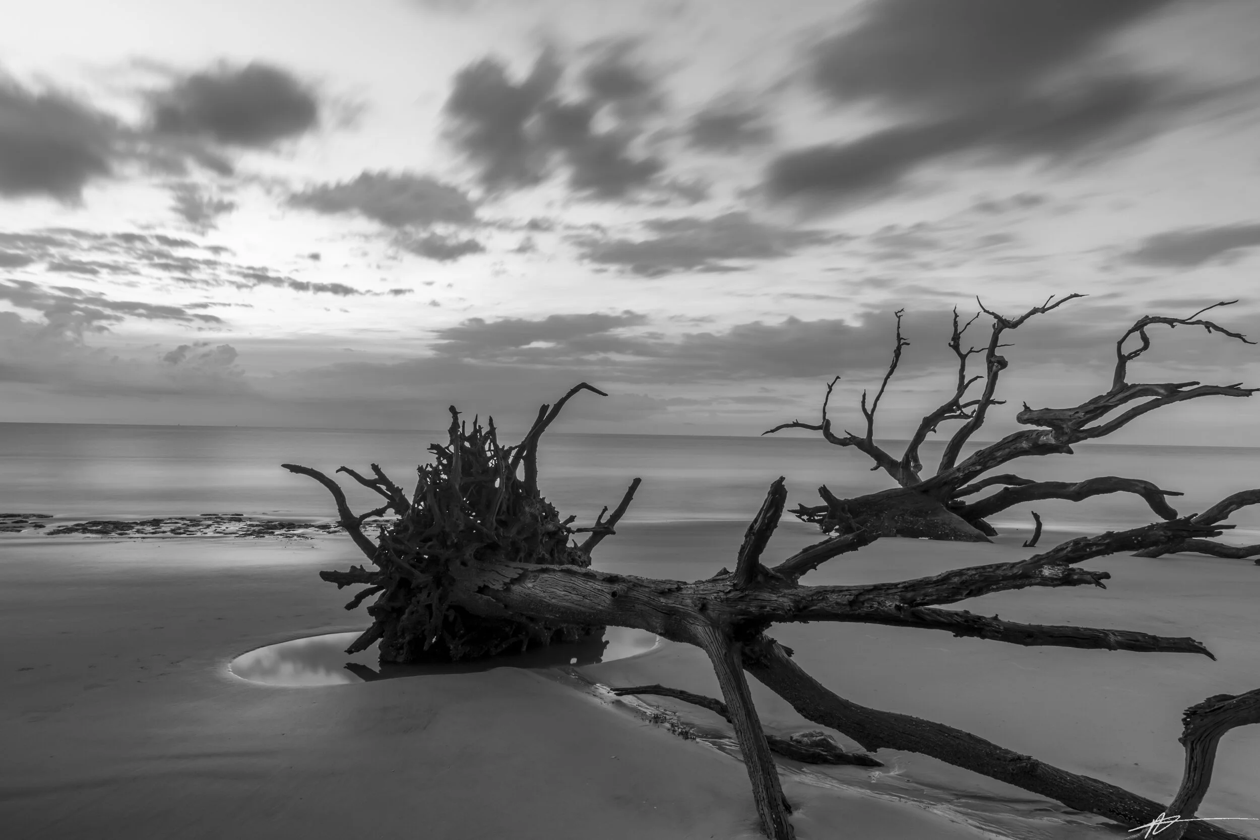 Driftwood Beach-26.jpg