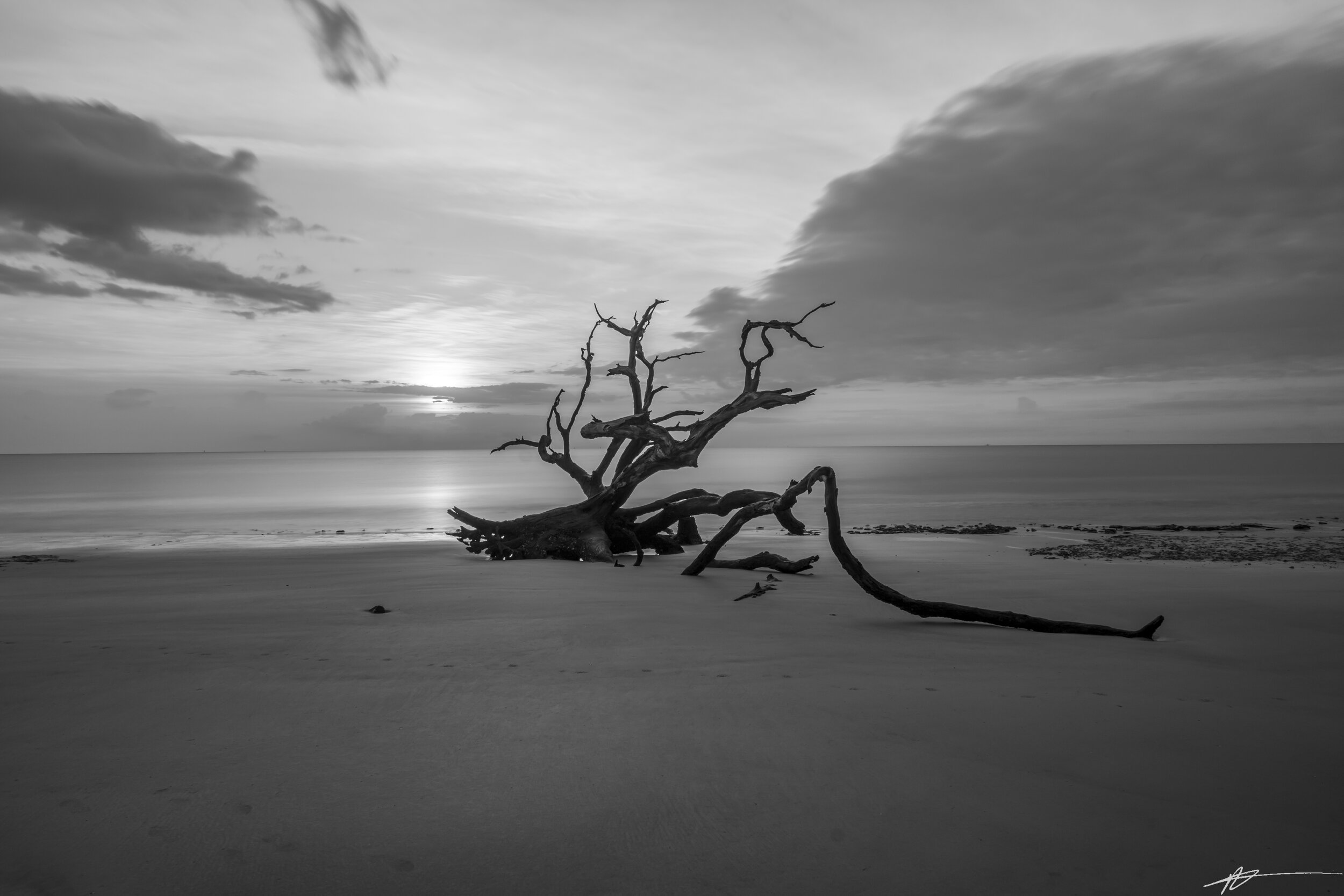 Driftwood Beach-43.jpg